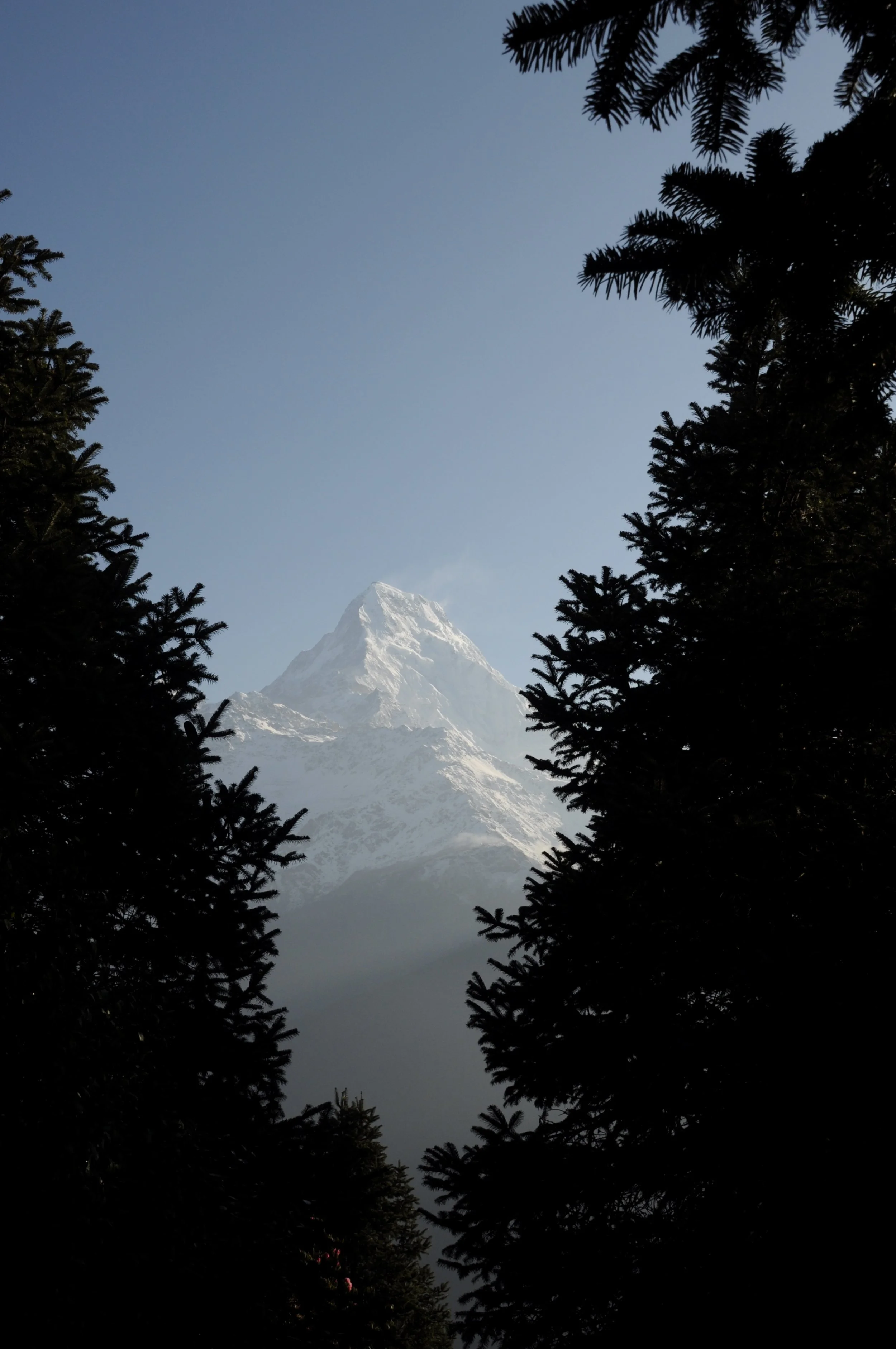 DSC_0821.jpeg