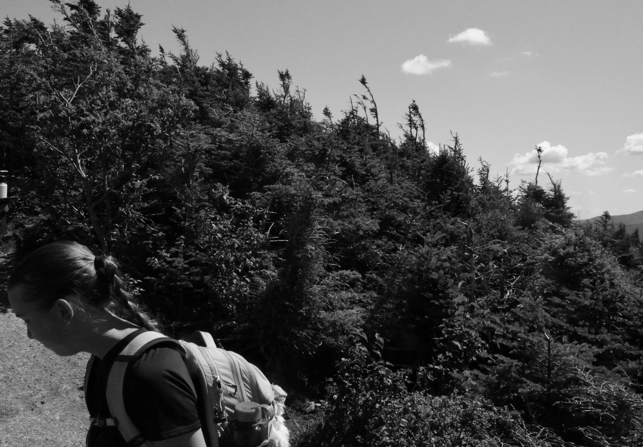 DSC_0105.jpeg