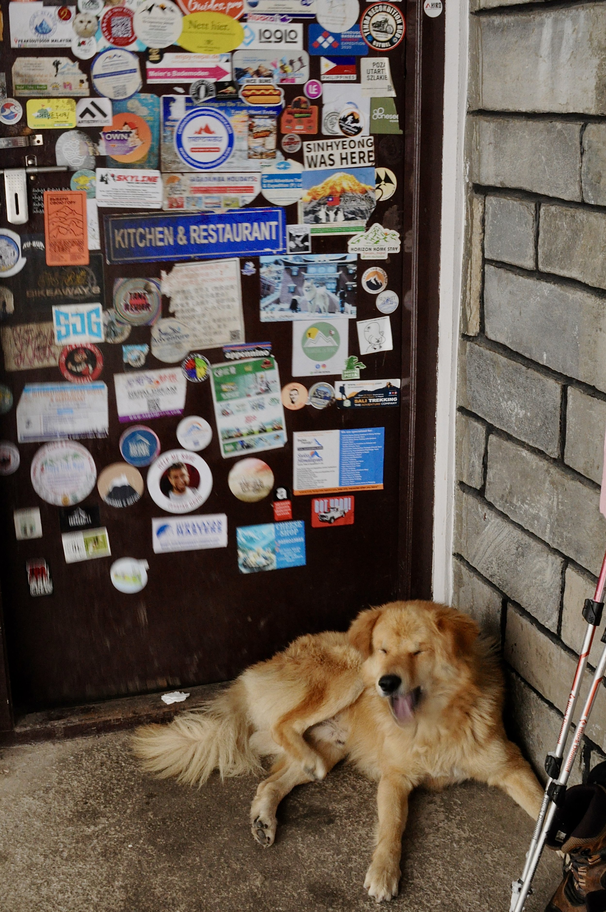 DSC_0513.jpeg