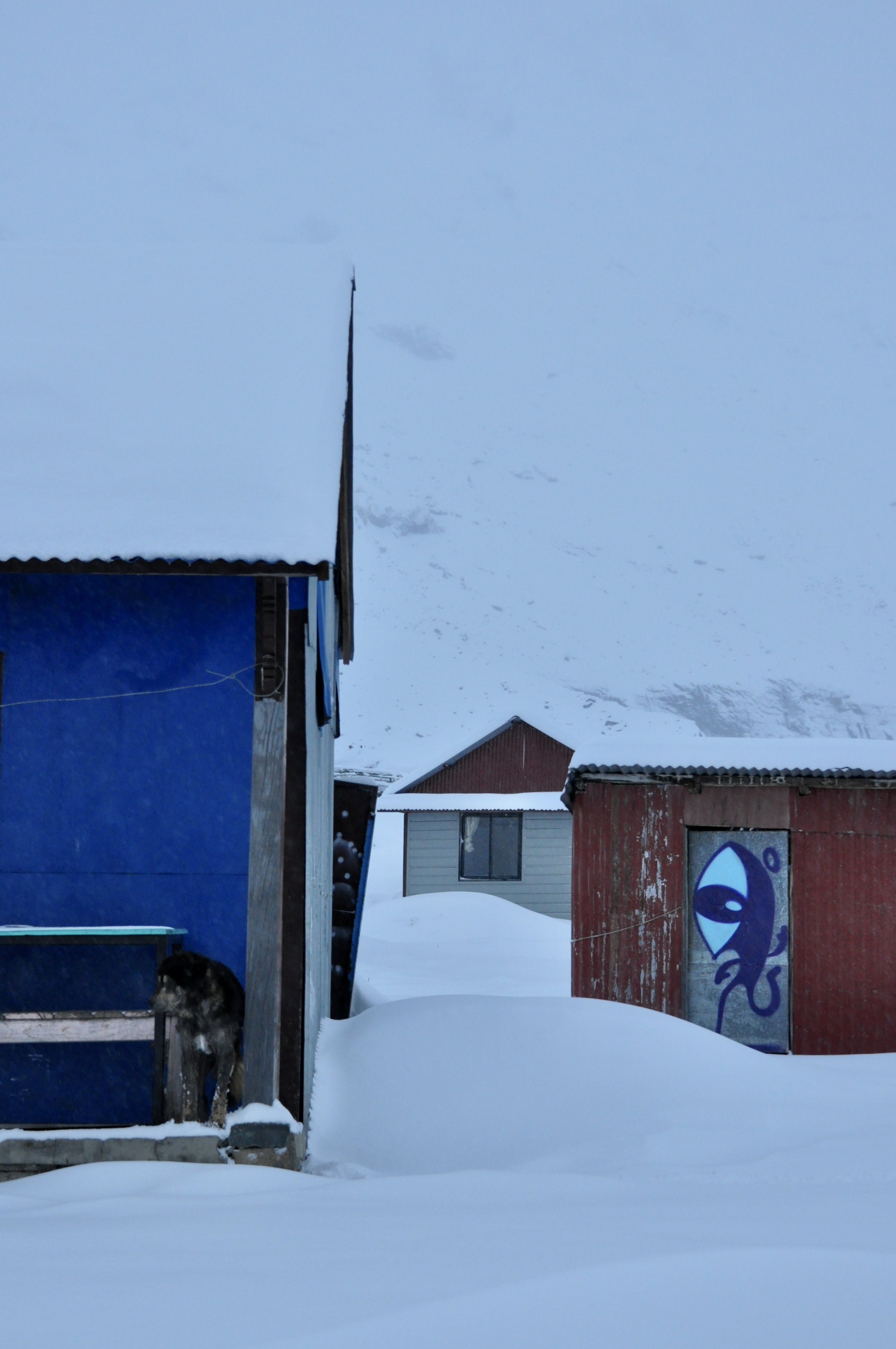 DSC_0551.jpeg