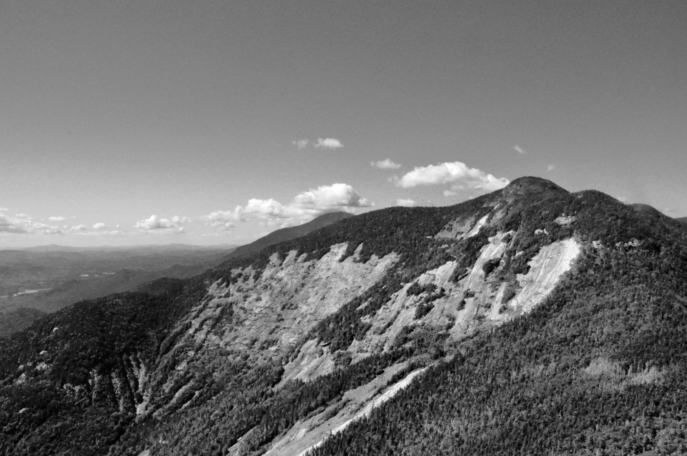 DSC_0088.jpeg