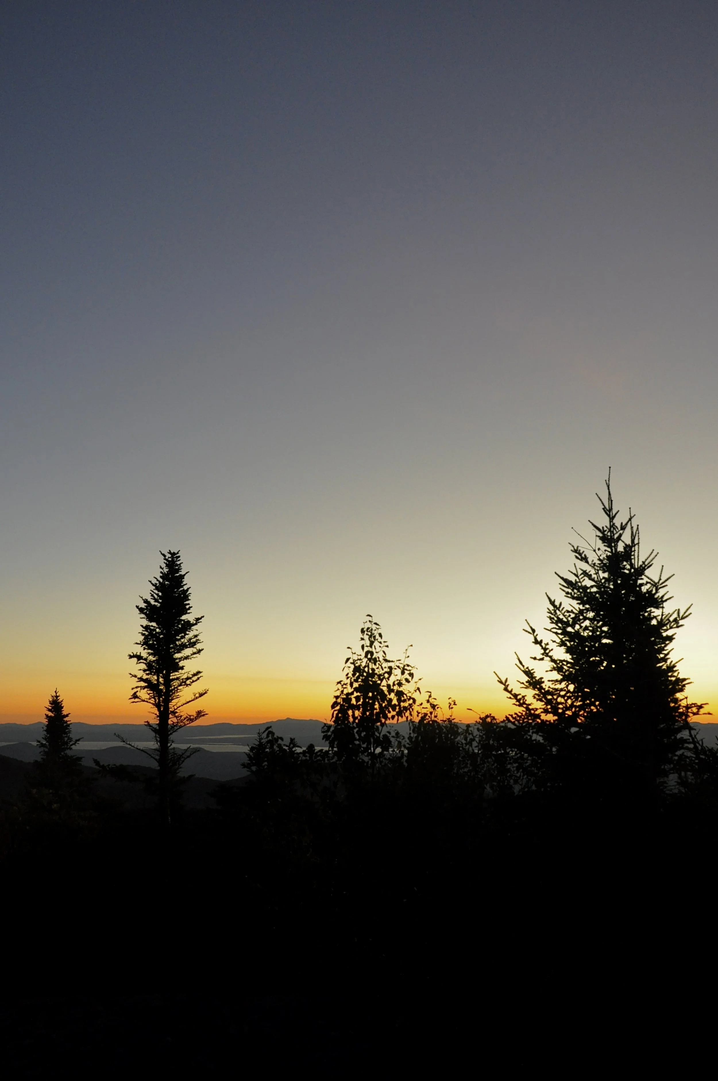 DSC_0052.jpeg