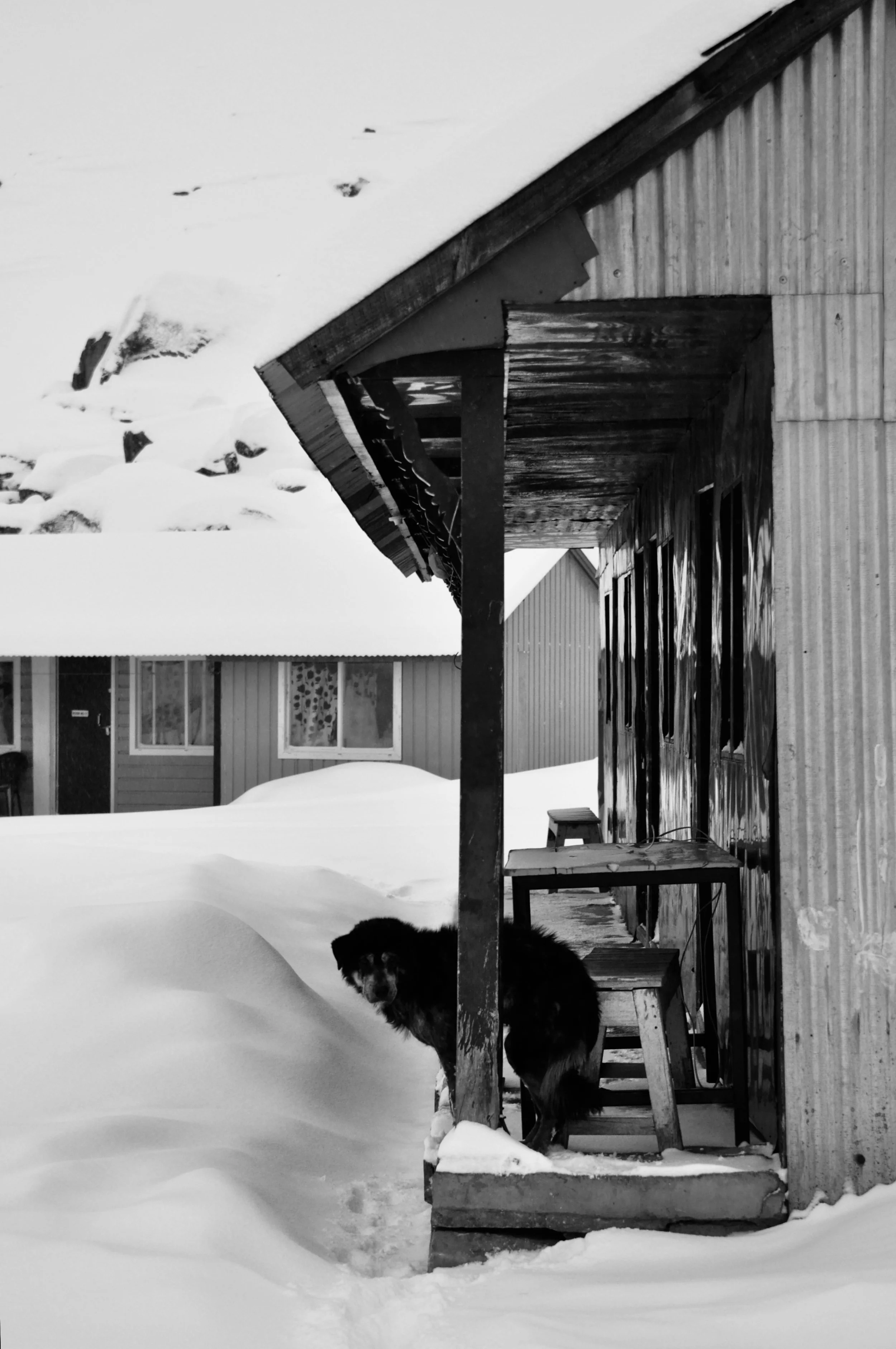 DSC_0546.jpeg