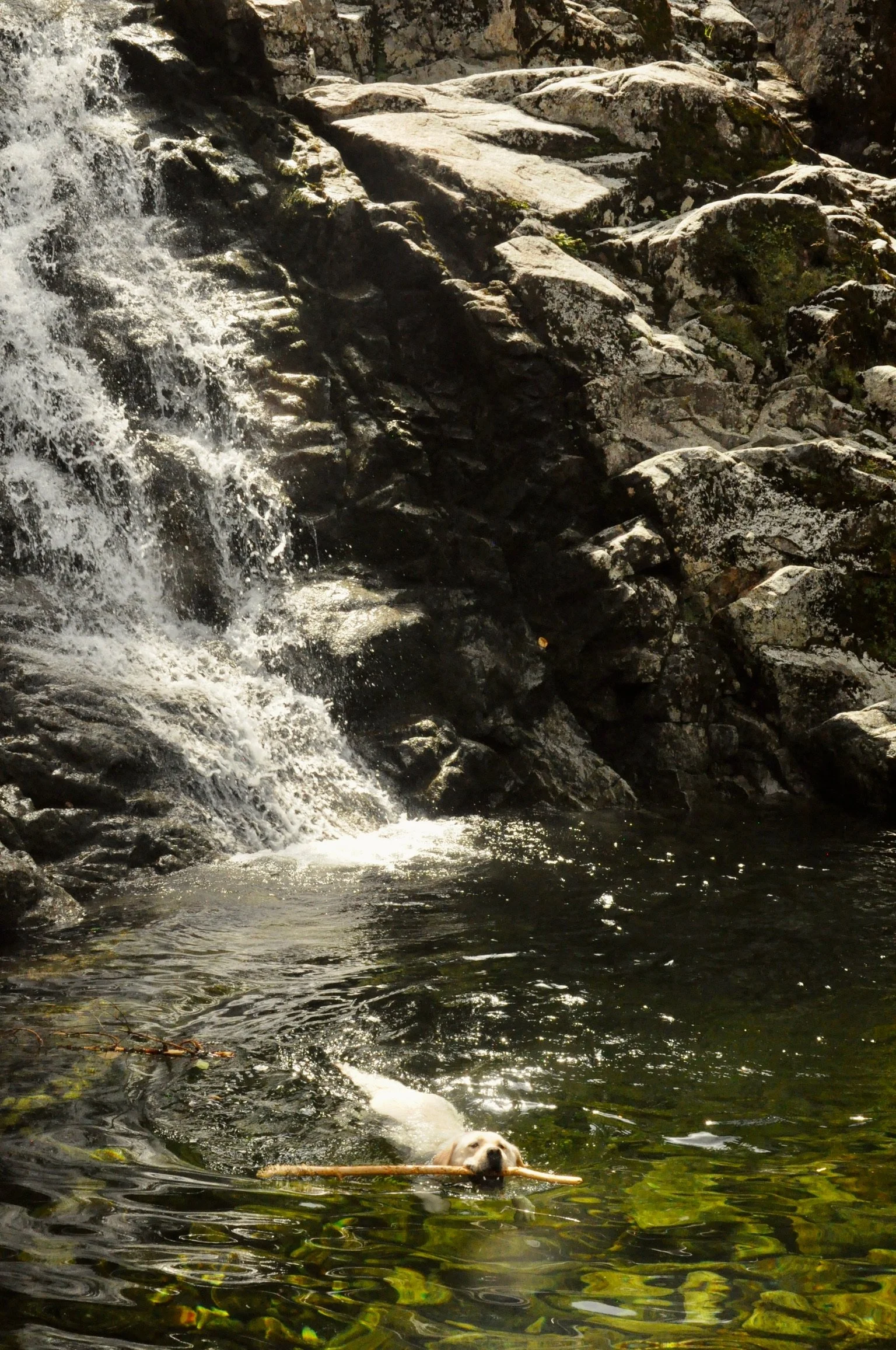 DSC_0309.jpeg