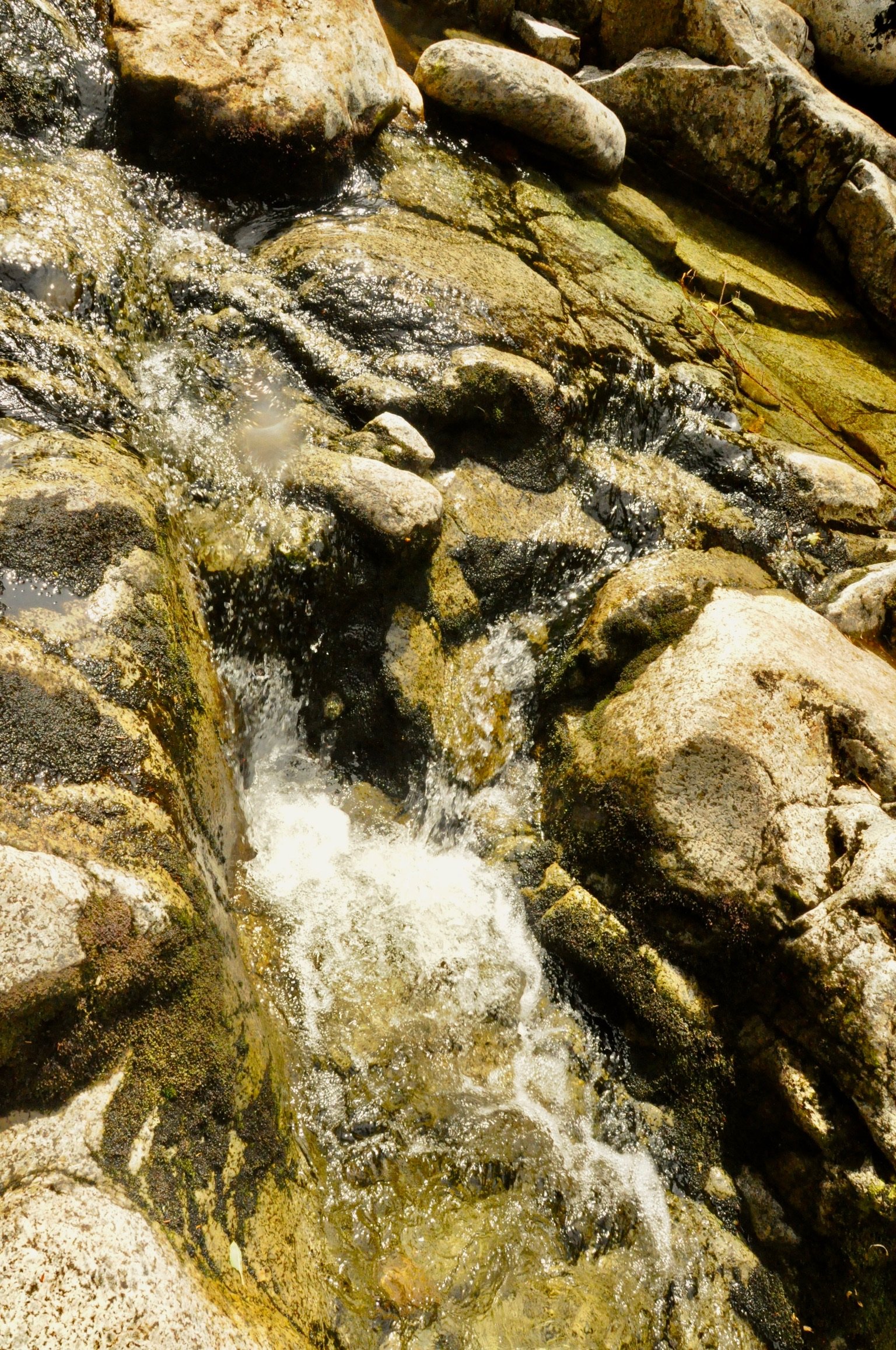 DSC_0292.jpeg