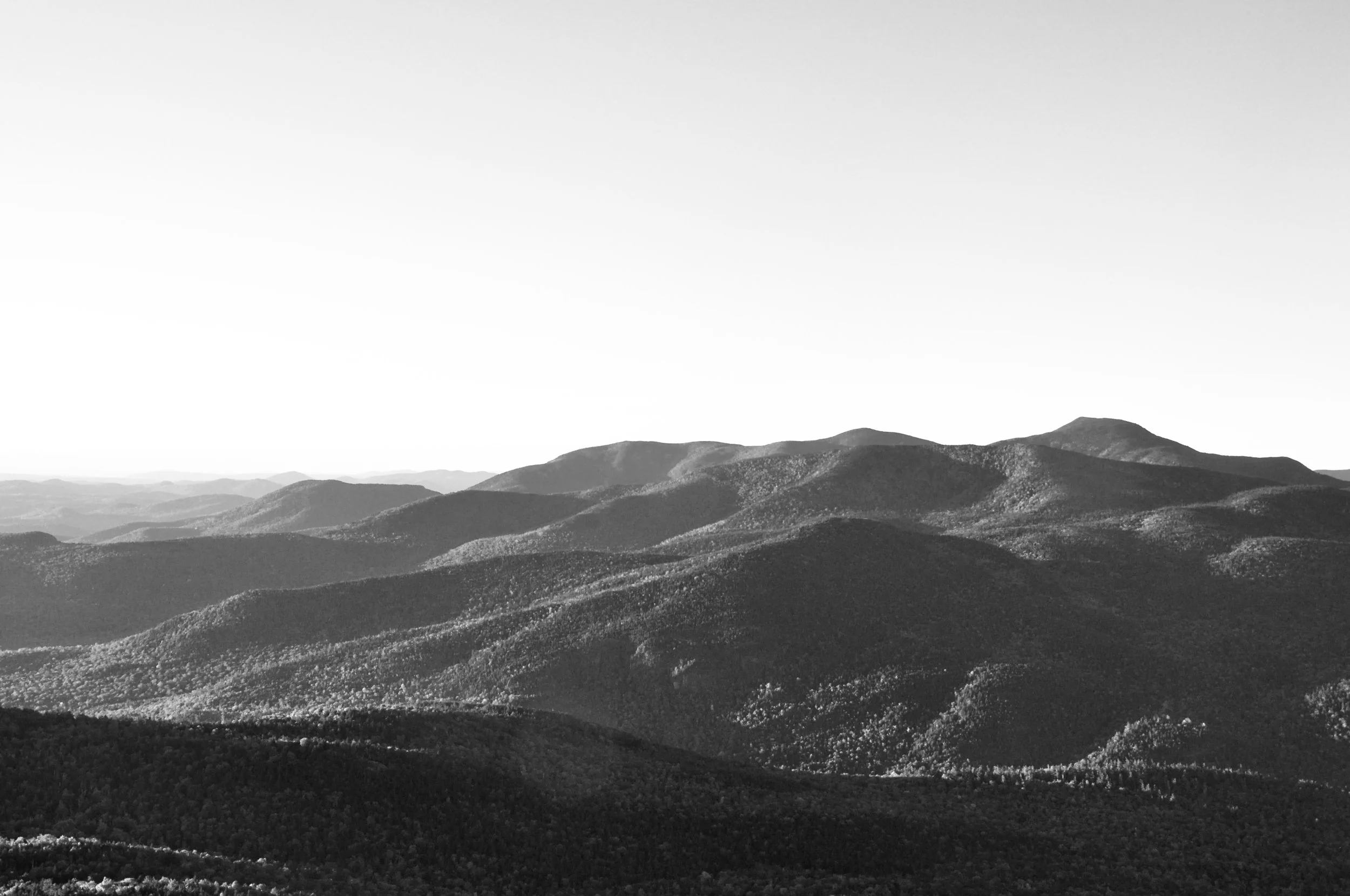 DSC_0061.jpeg