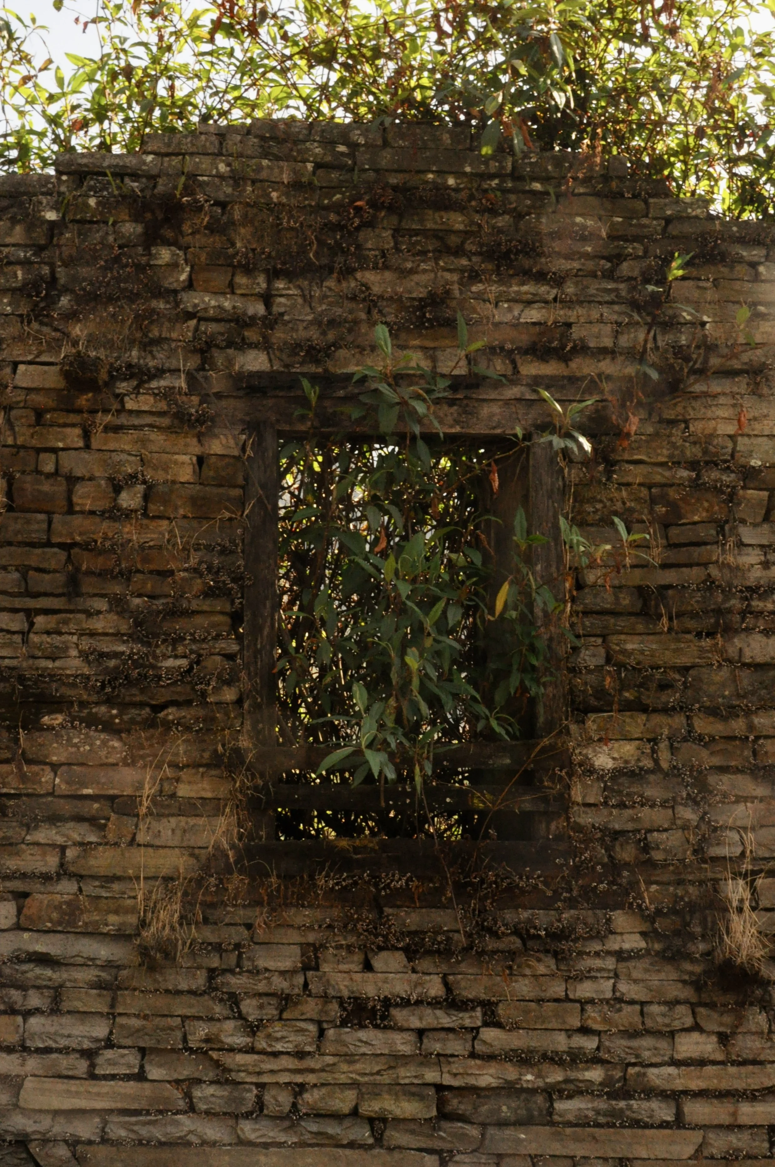 DSC_0310.jpeg