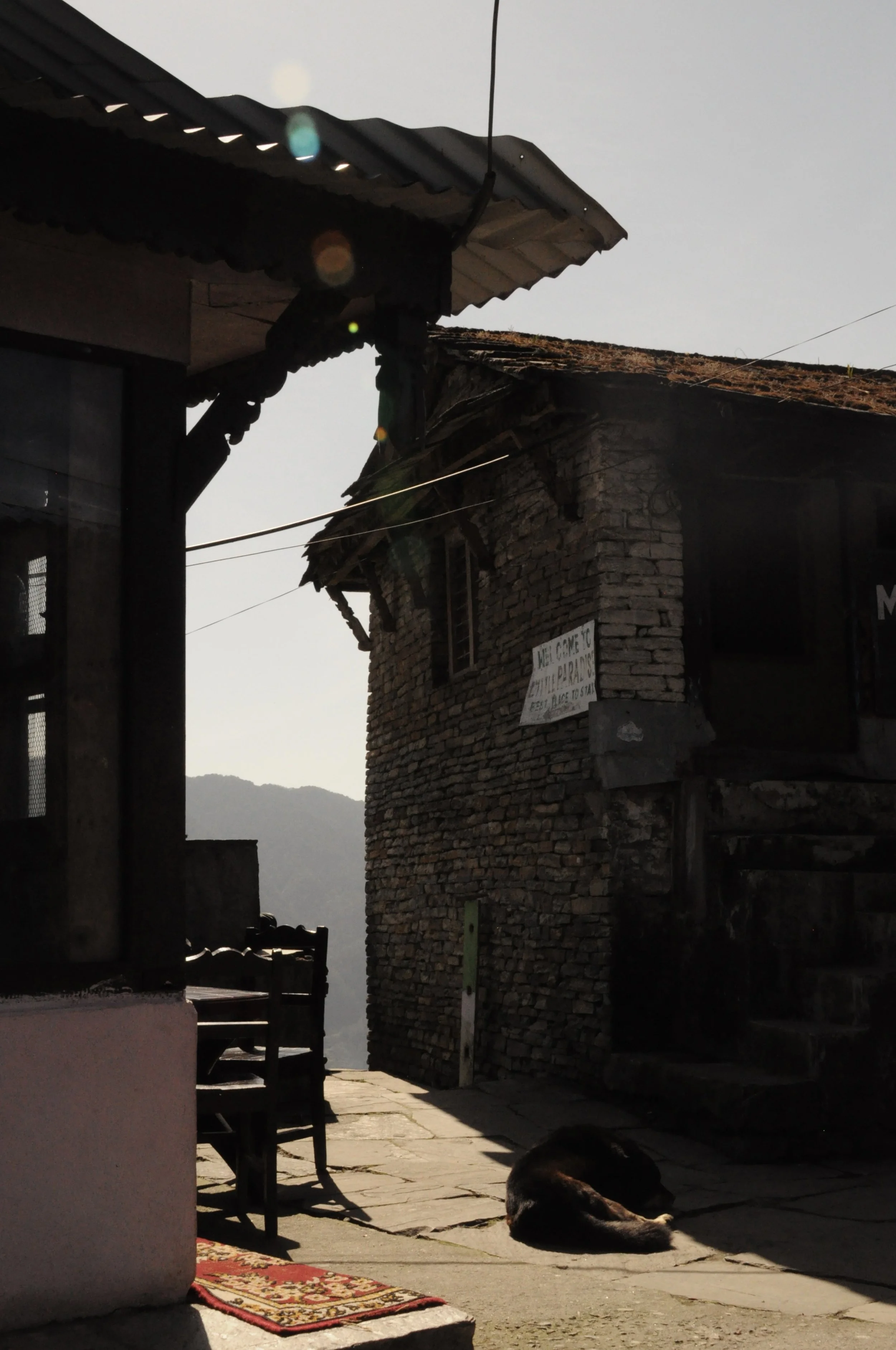 DSC_0236.jpeg