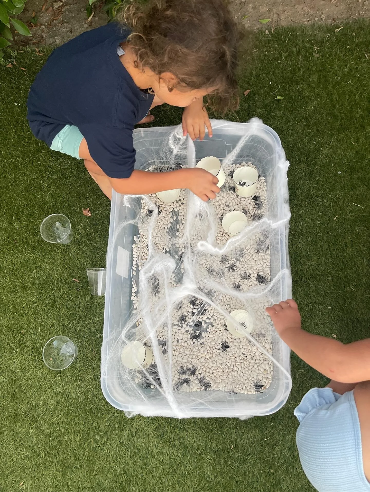 🕷️ Creepy, crawly fun! Our little explorers are diving into webs, spiders, and spooky textures in this Halloween sensory bin. Who knew spooky could be so much fun? 👻
#SpookySensoryPlay #HalloweenFun #SensoryBinMagic #LittleExplorers #SpidersAndWebs