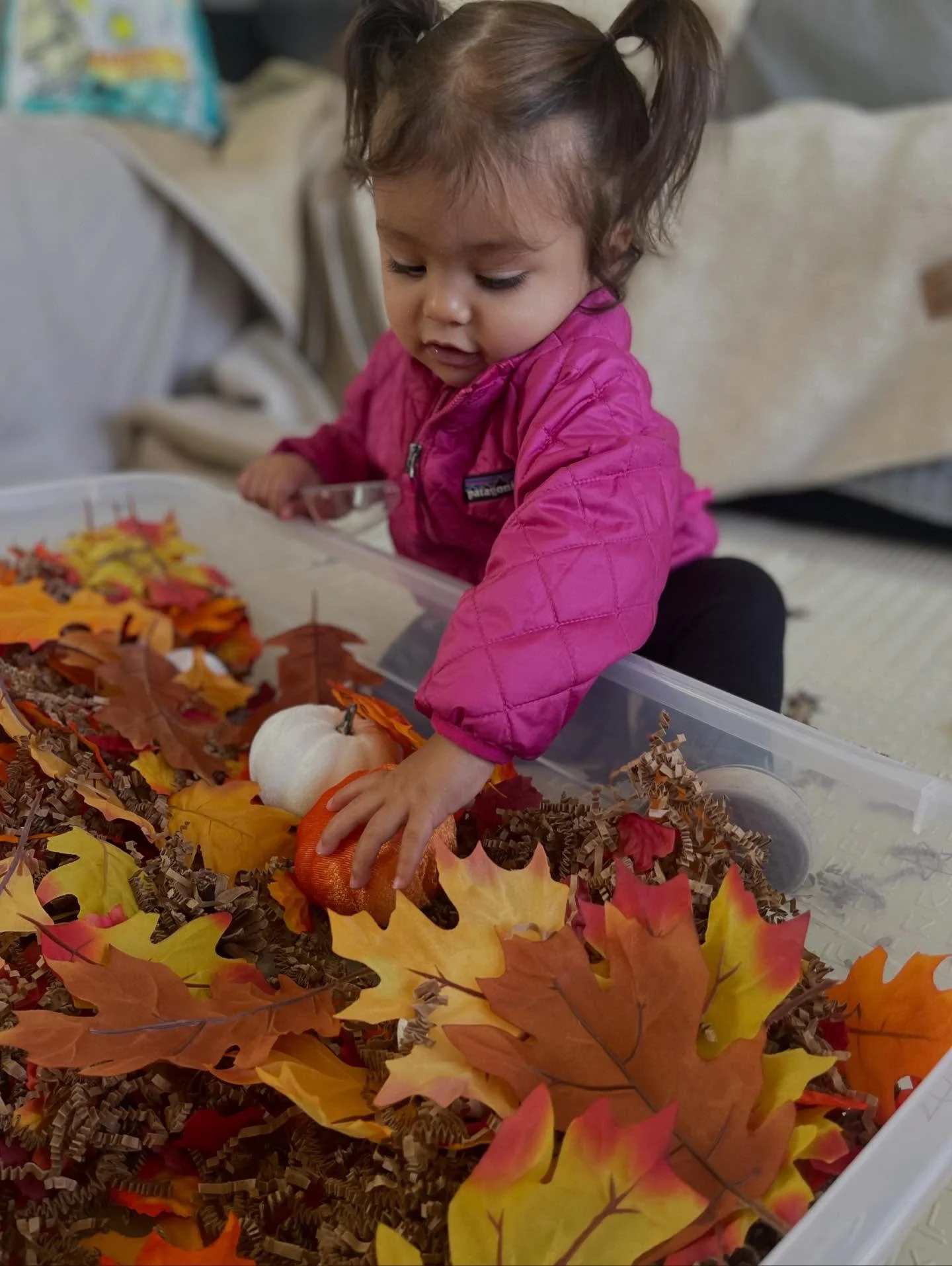 🍁 Fall for Fun is here! 🍁
This week&rsquo;s Mini &amp; Me Sensory Play Class is all about cozy autumn vibes, crunchy textures, and playful exploration. Your little one will scoop, pour, swirl, and discover all the magic that fall has to offer &mdas