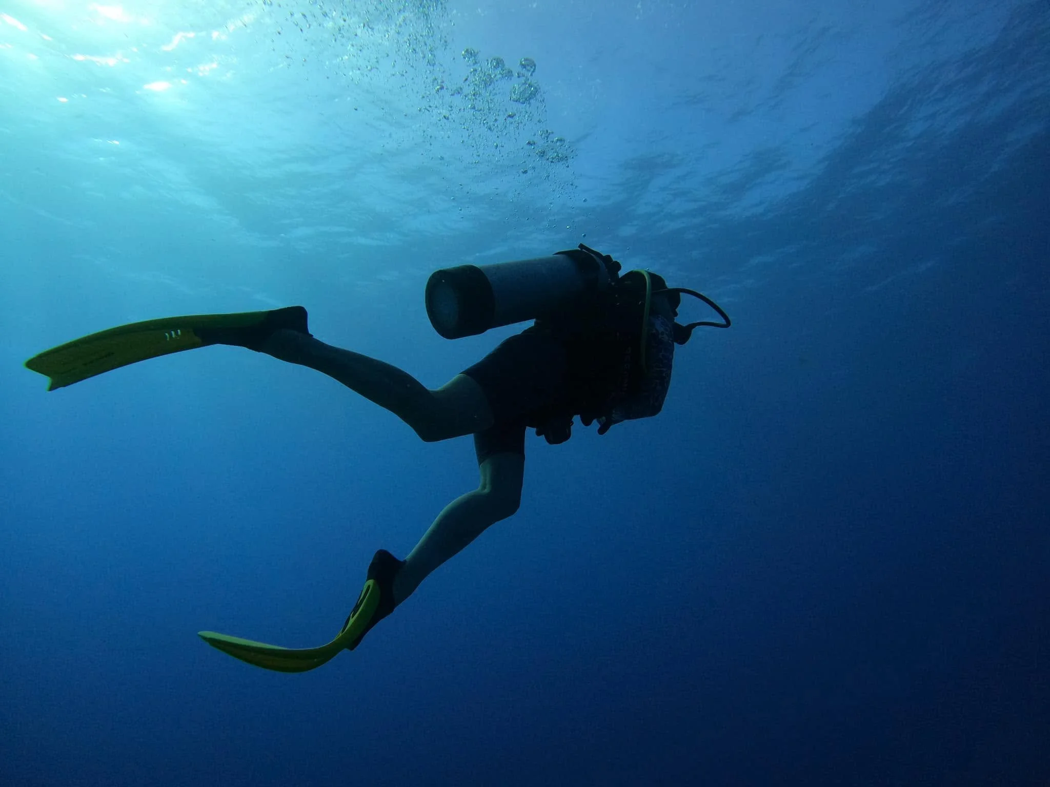 Diver.jpg