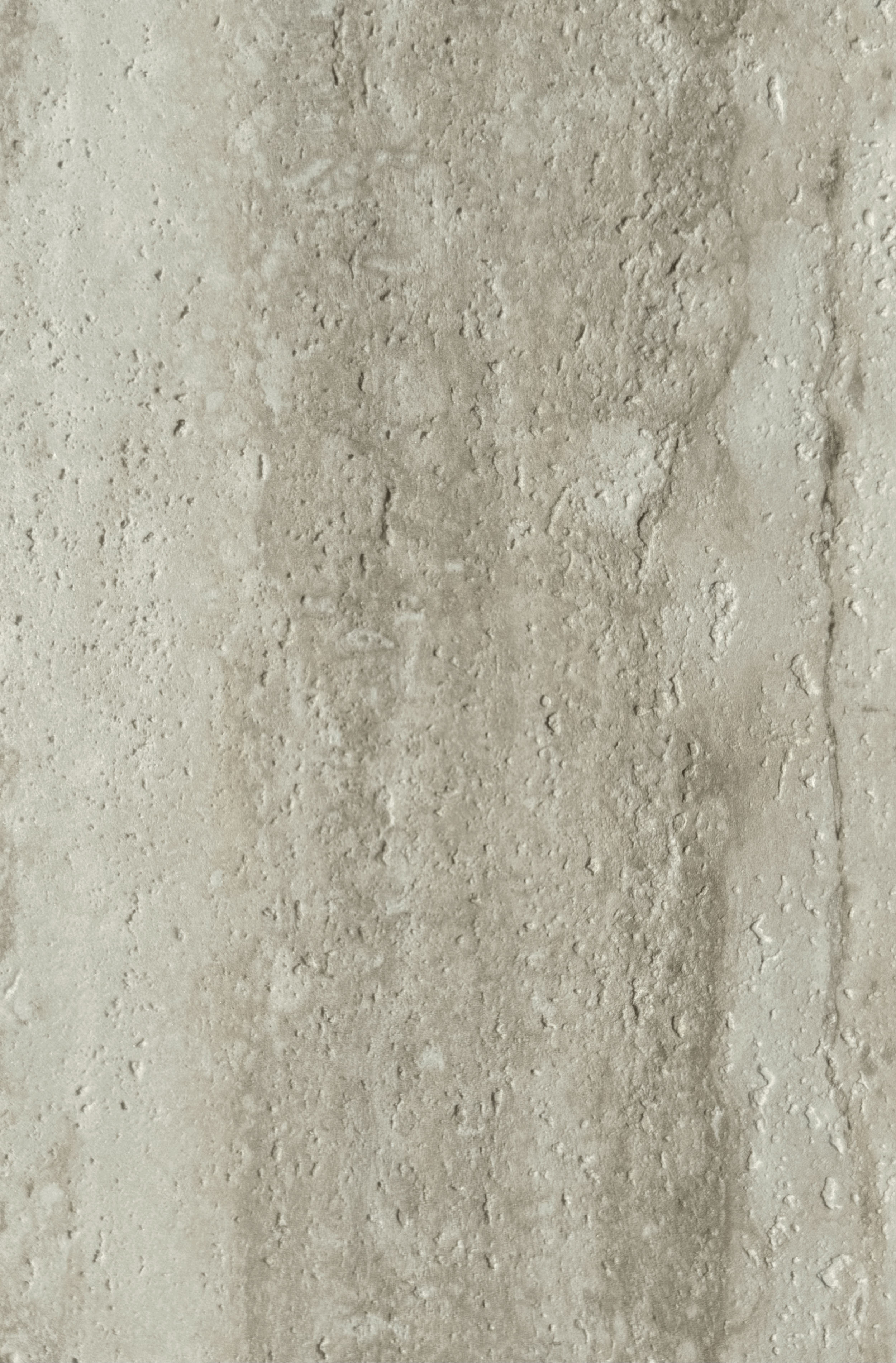 Fossil Travertine