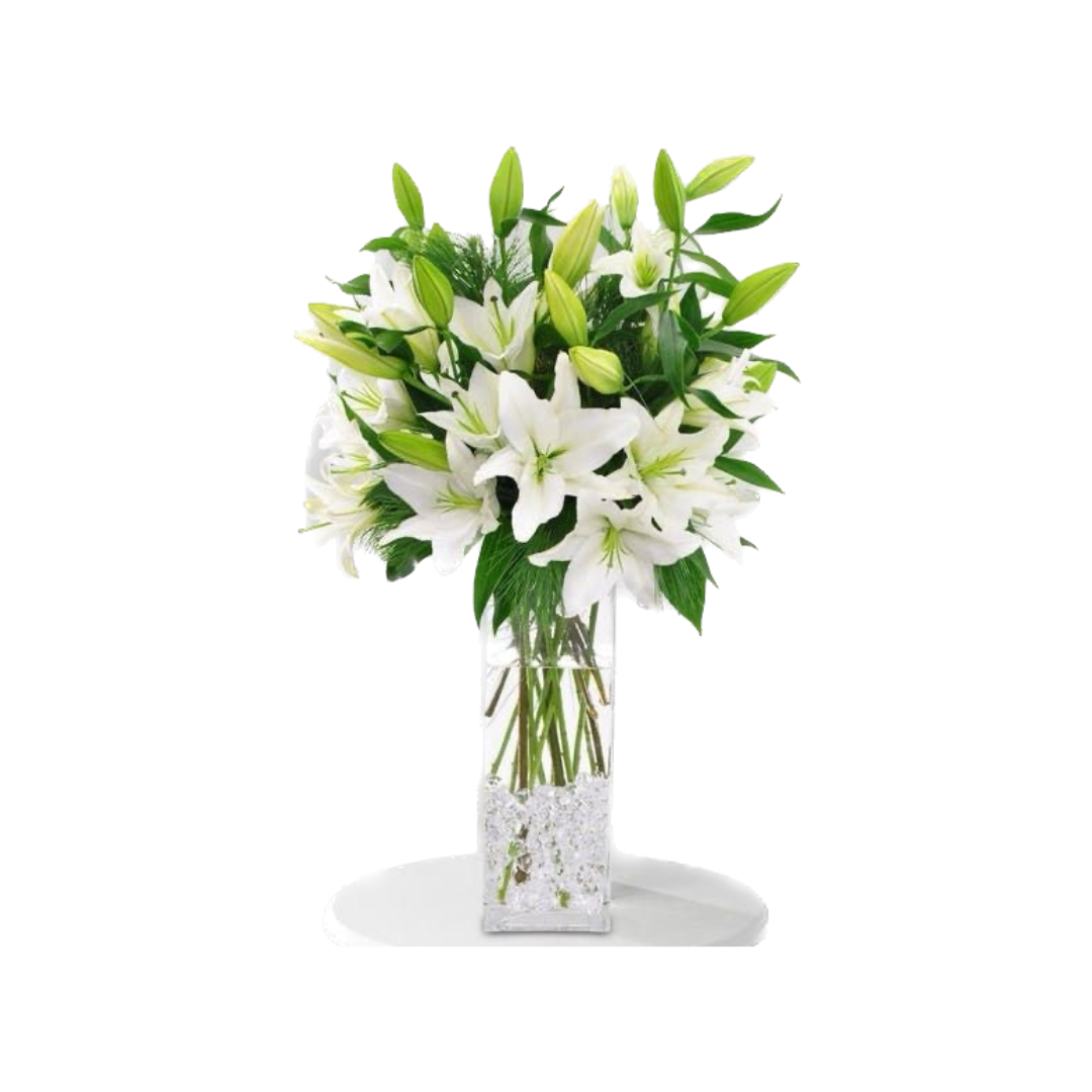 WHITE CASABLANCA LILY