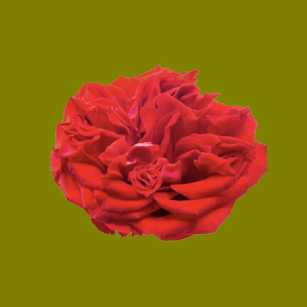 ROUGE ROYALE