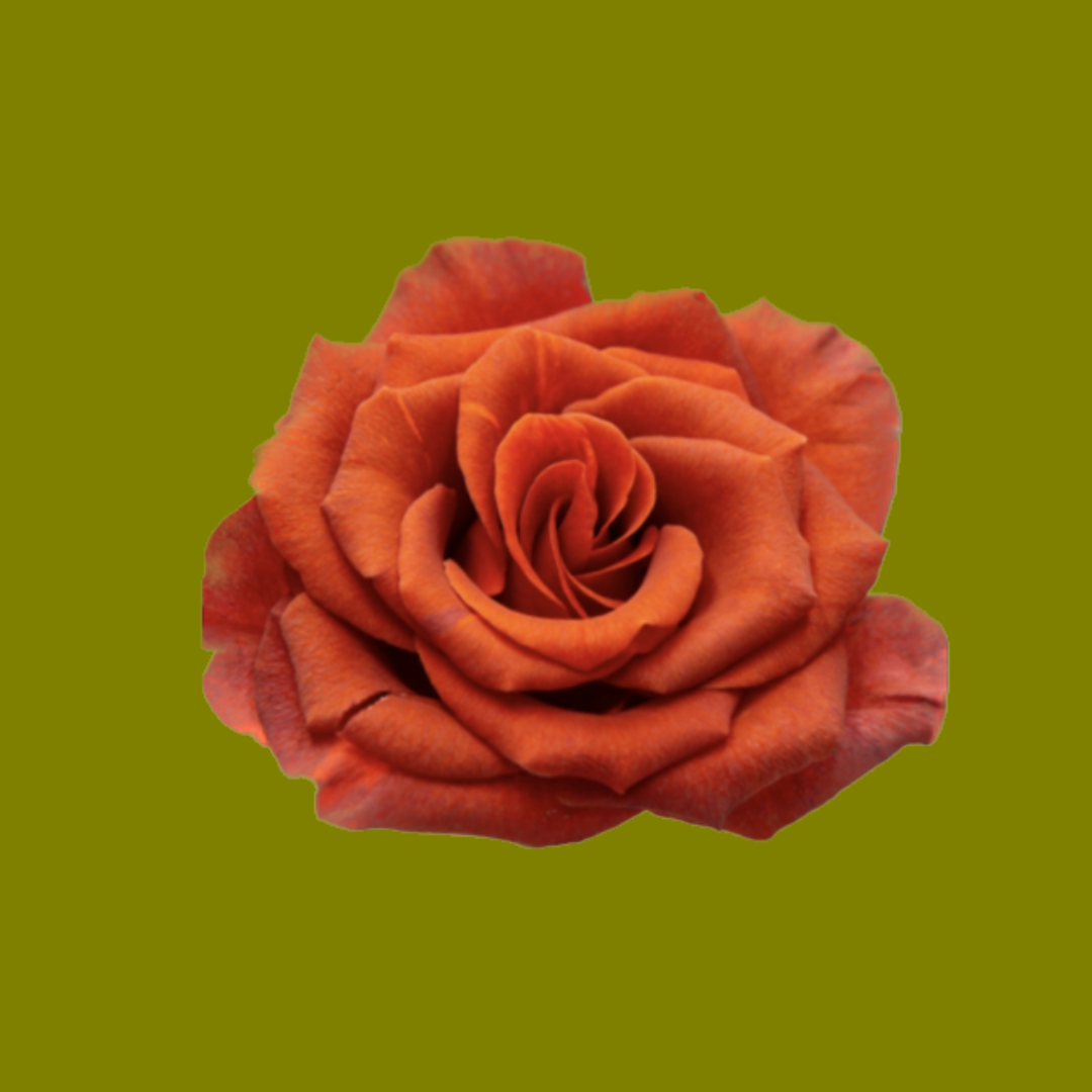AMARETTO
