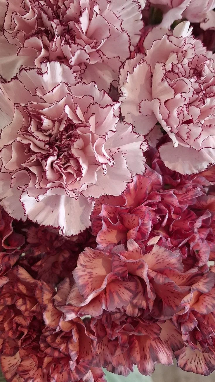Summer Flowers