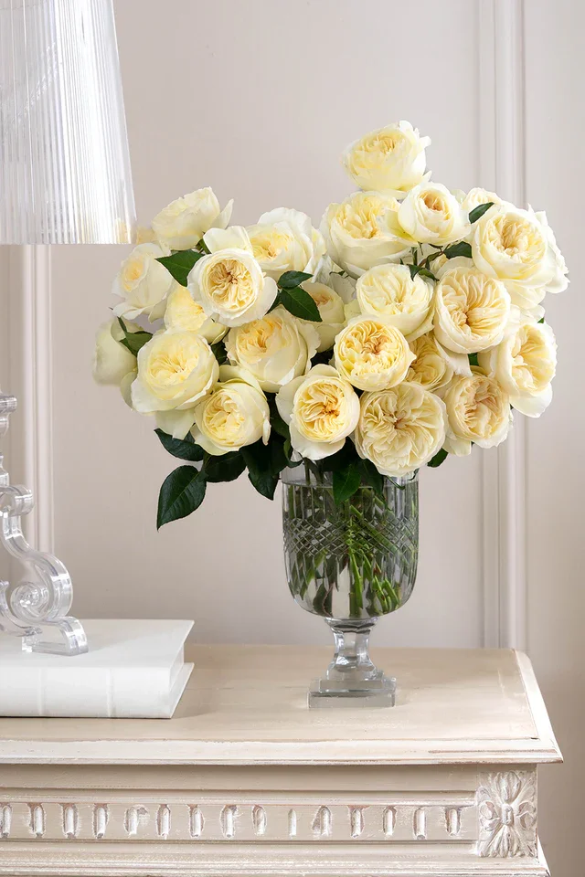 Garden Scented Roses