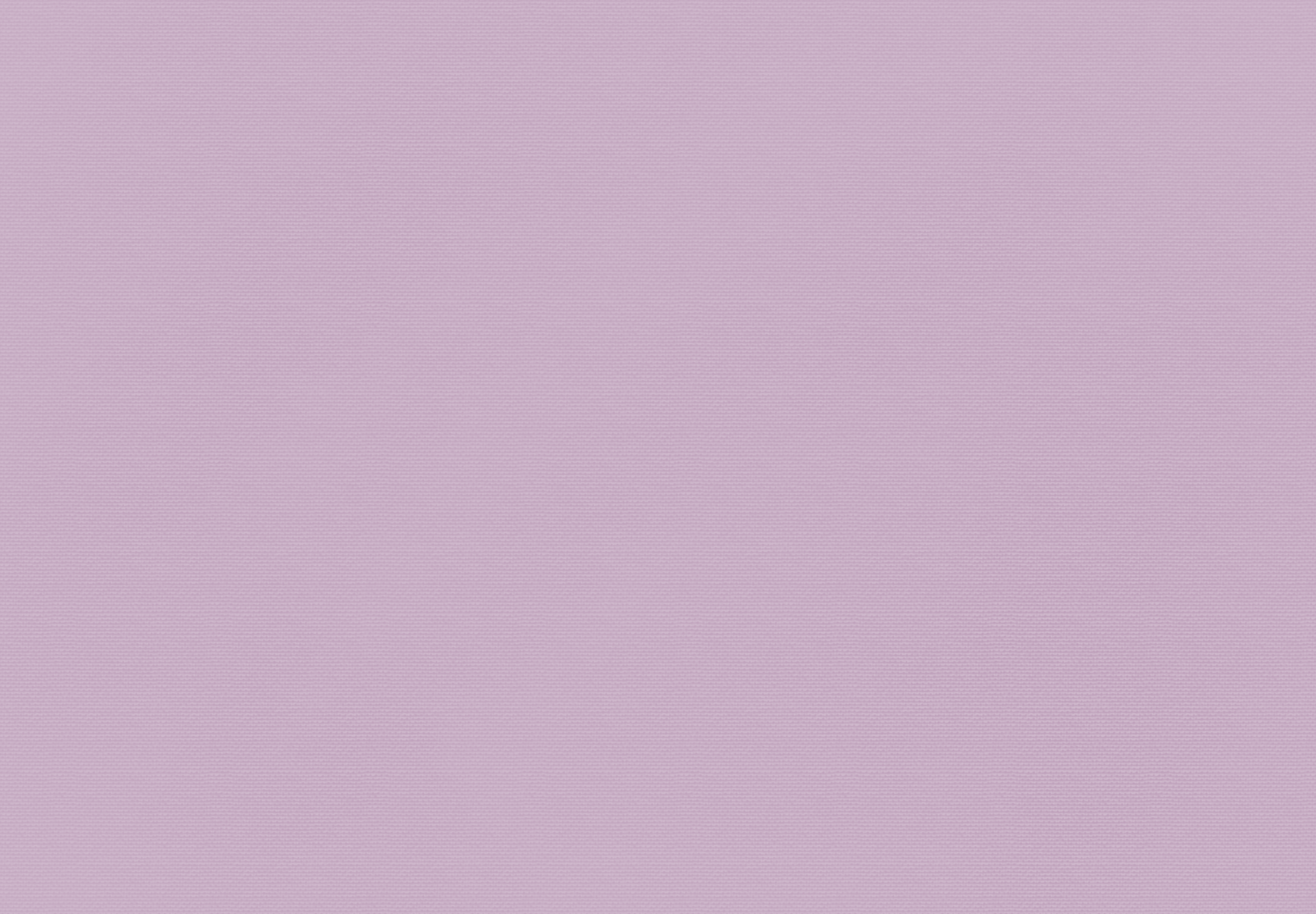 Untitled_Artwork 8.png