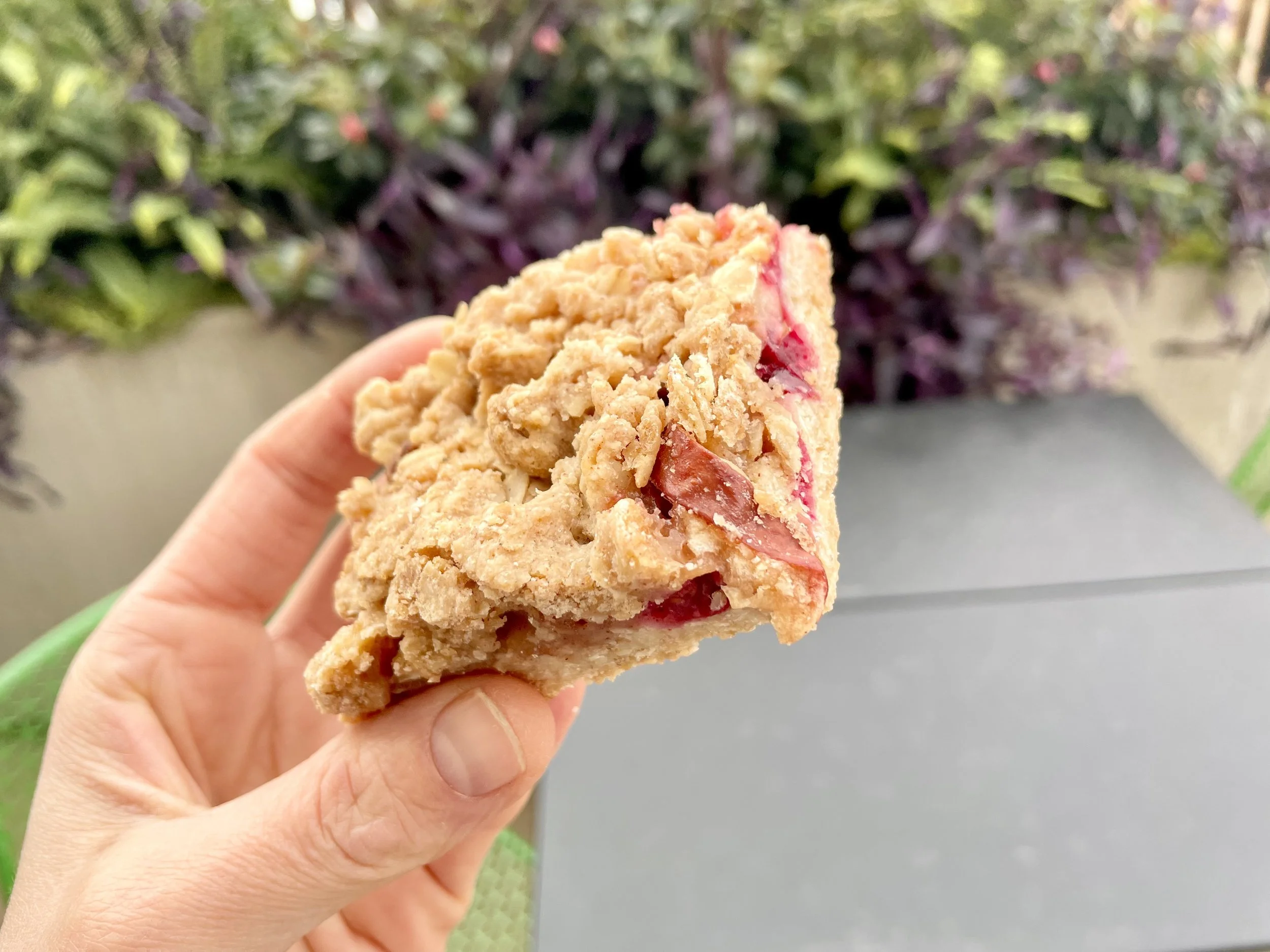 Gluten Free Crumb Bar (strawberry jam)