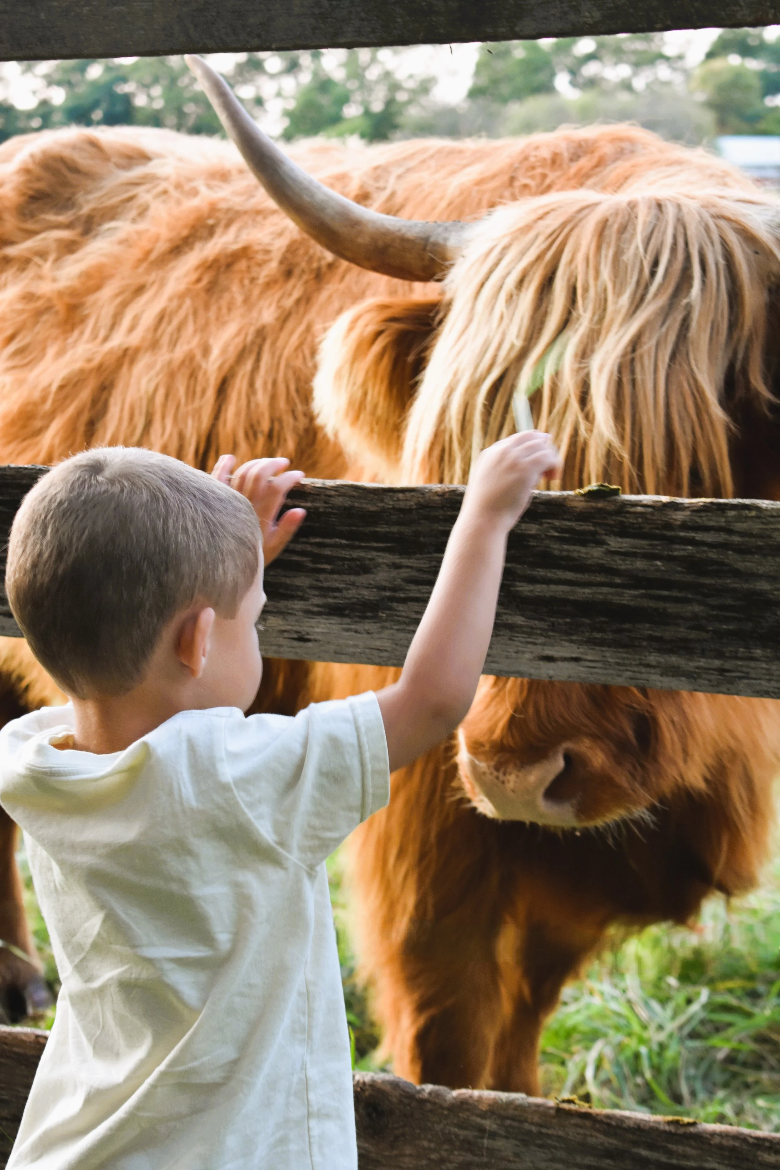 Photos with the Highlands