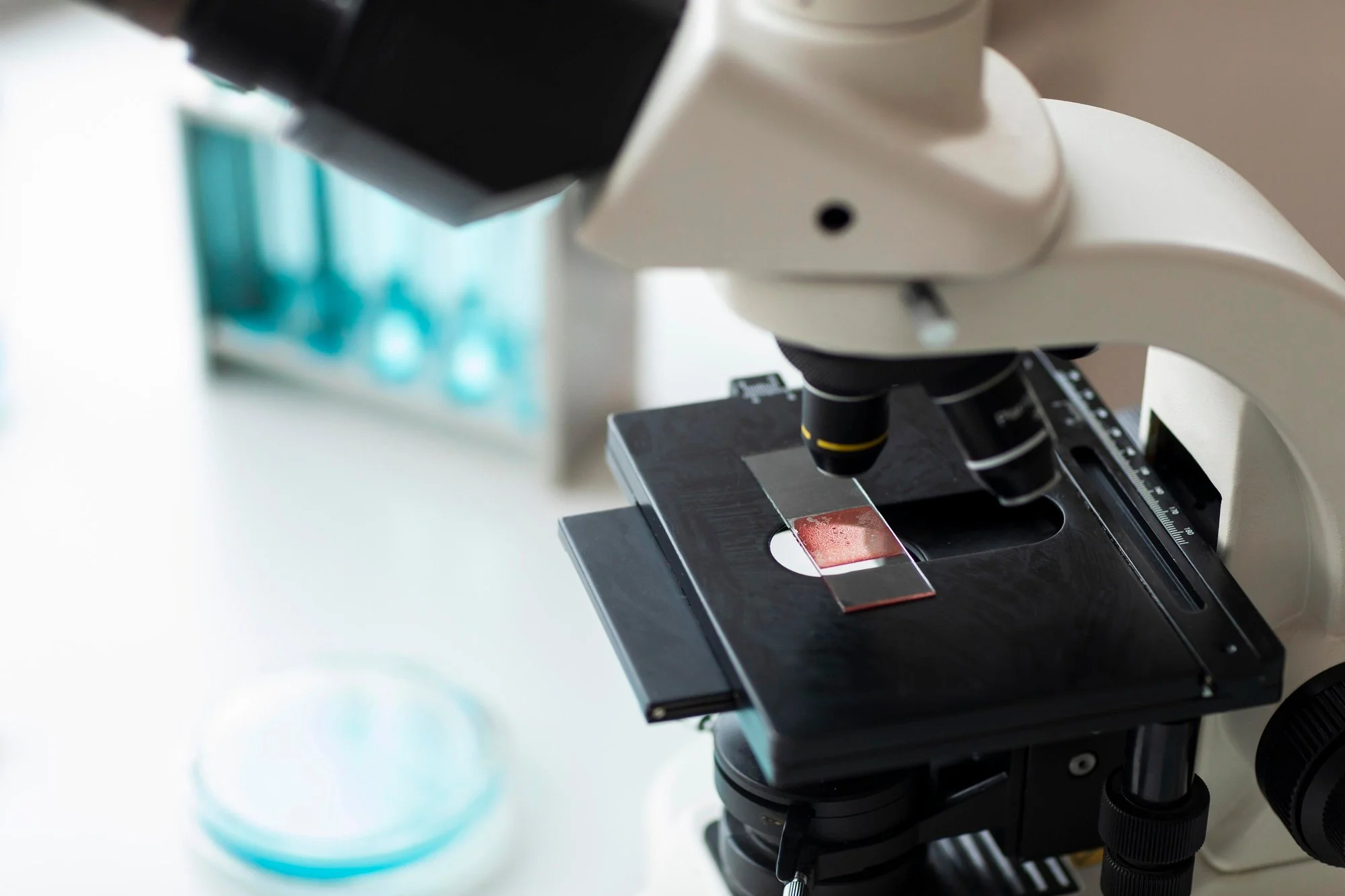 Clinical Microscop.jpg