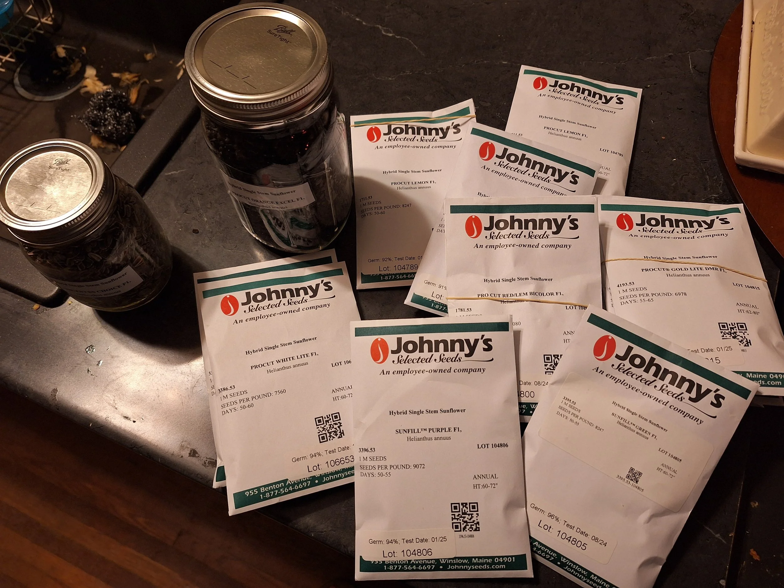 Several seed packets from Johnny's Selected Seeds on a dark countertop, with two glass jars filled with seeds nearby.