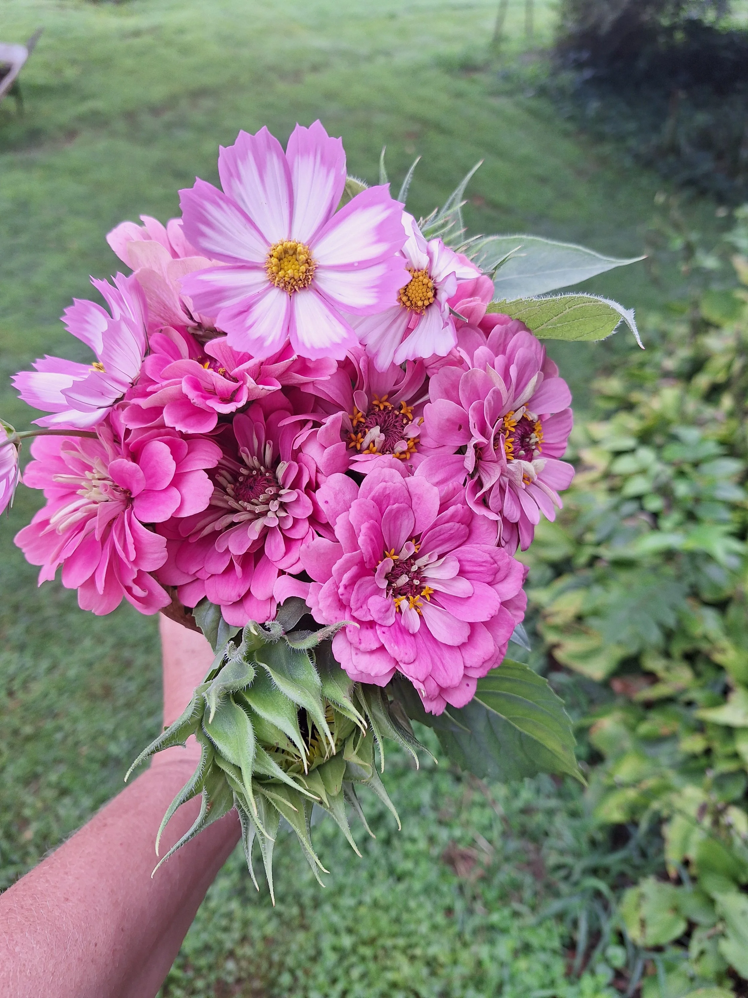 A person holds a bouquet of pink and white flowers with a green background.