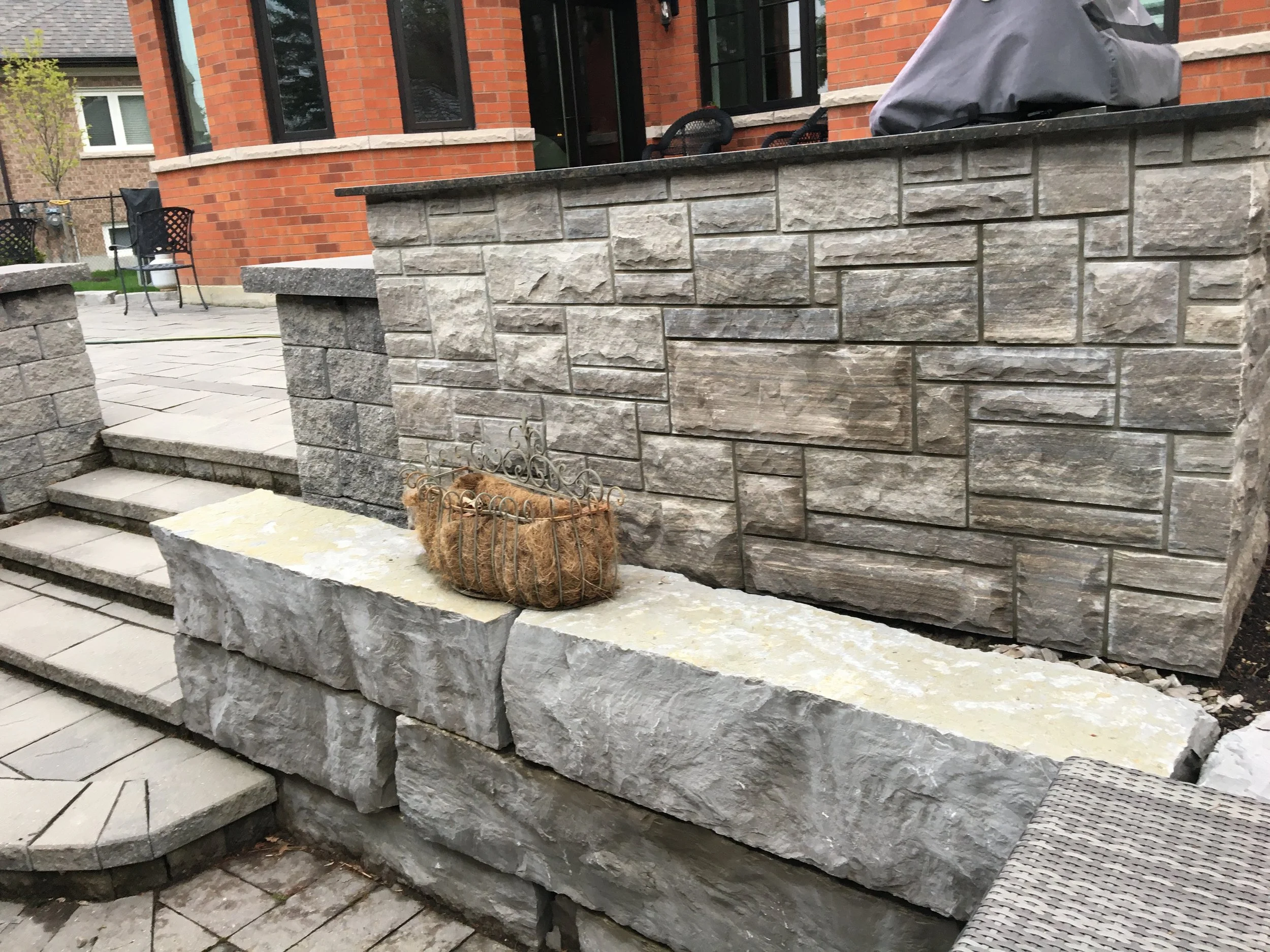 BBQ with Tiger Stone.JPG