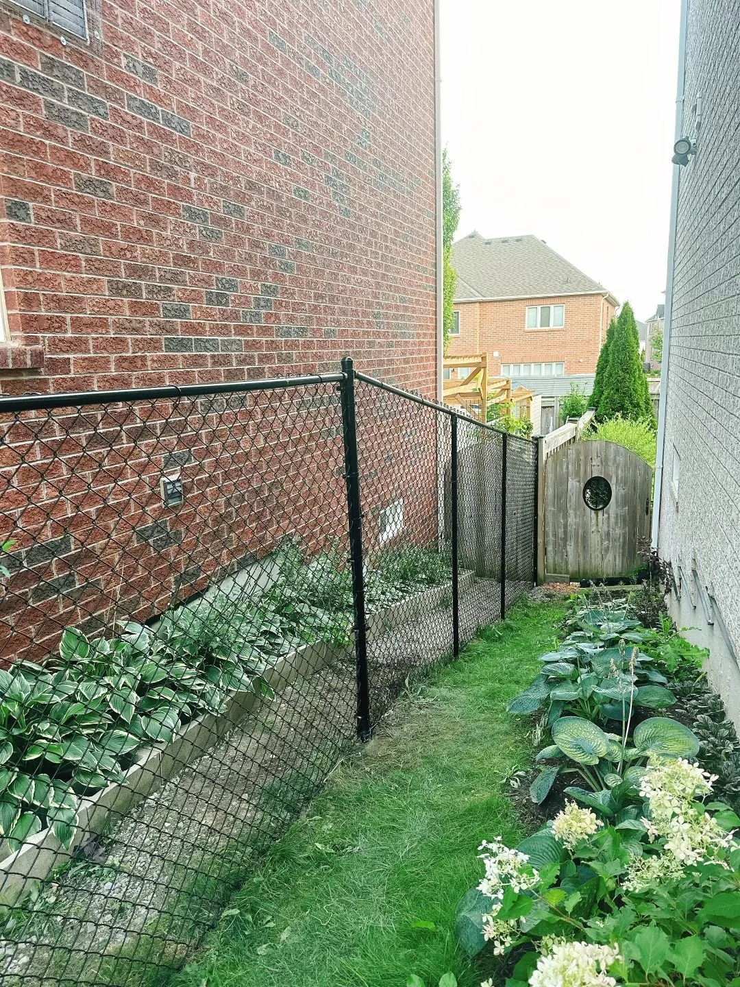 WhatsApp Image 2024-08-20 at 9.06.03 PM.jpeg