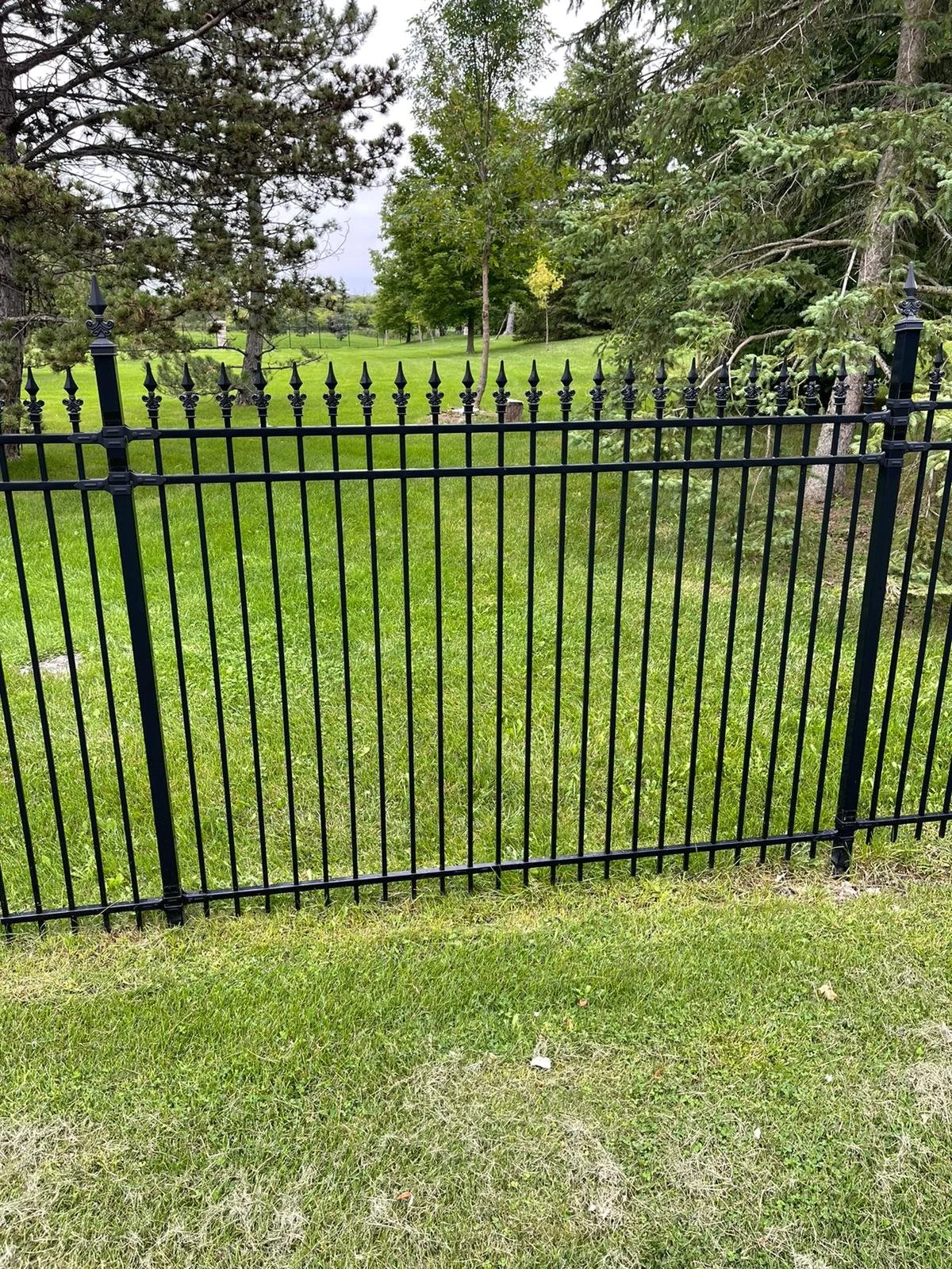 WhatsApp Image 2022-09-05 at 3.36.37 PM.jpeg