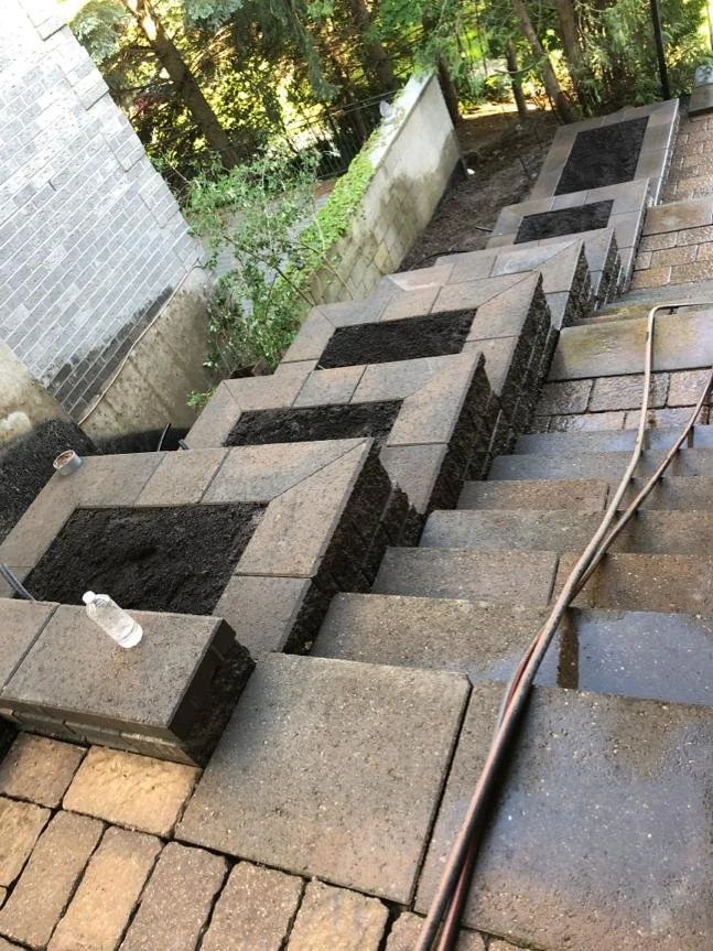 WhatsApp Image 2020-02-27 at 7.54.36 PM (6).jpeg