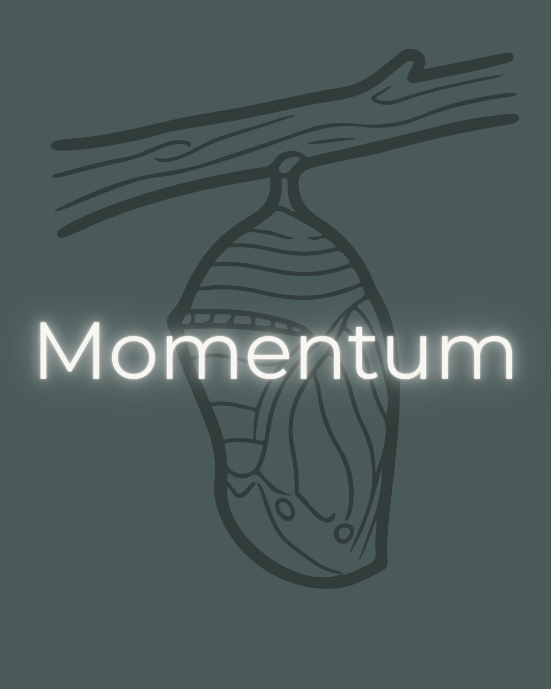 MOMENTUM - Coaching
