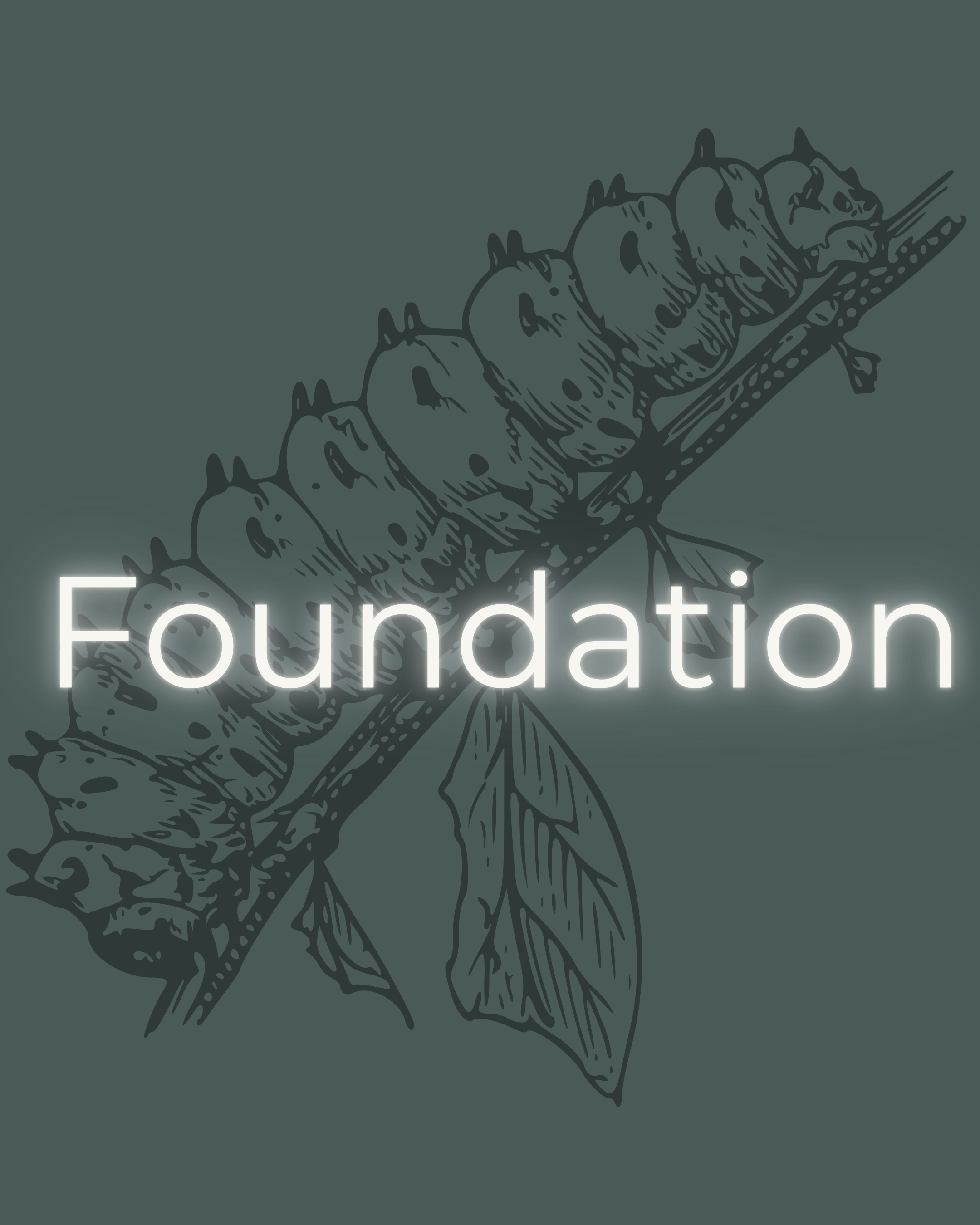 FOUNDATION - Coaching