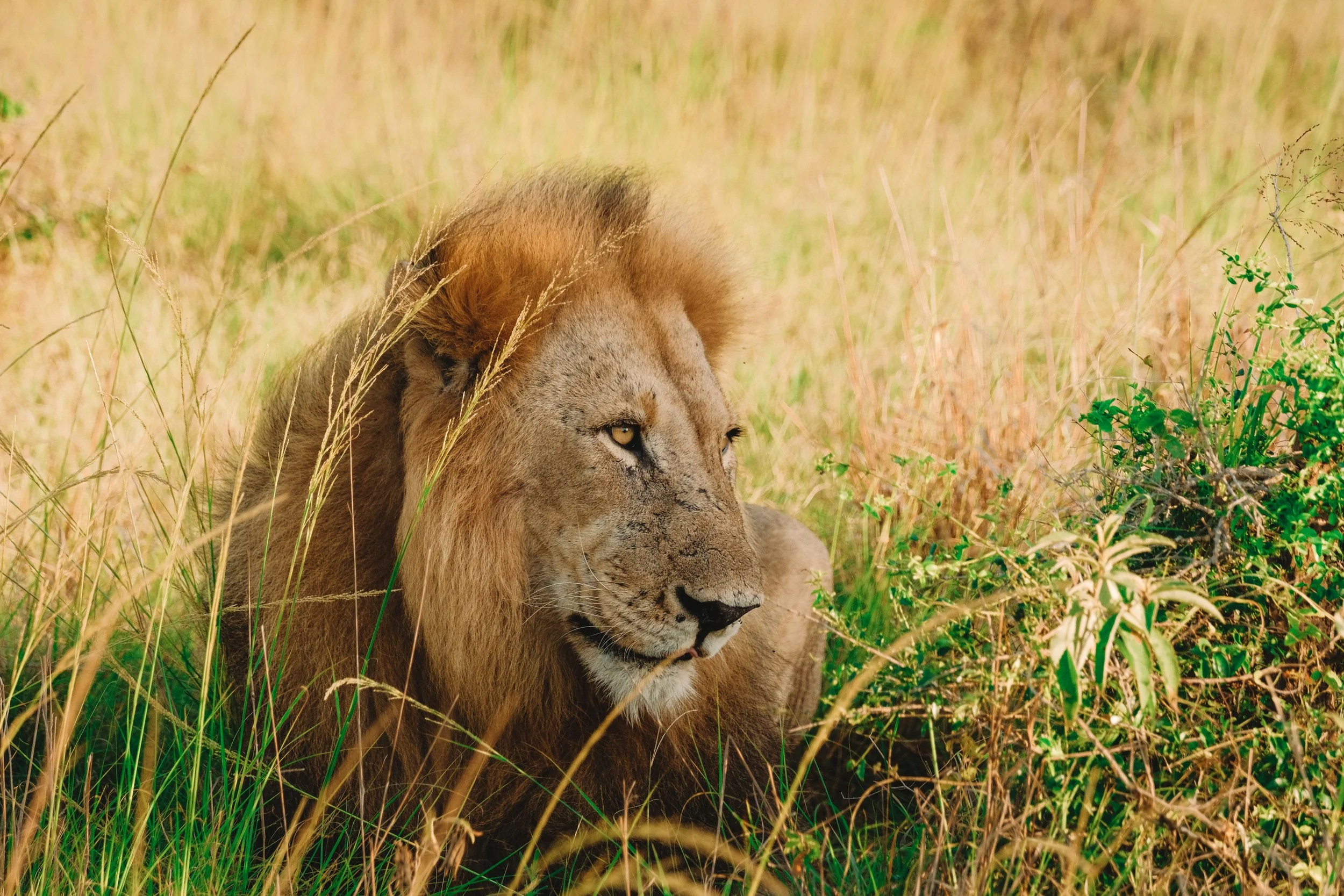 329E8E13-218C-4B29-9314-FDF073B7EE4F-23582-00002C4FEF8C0372 (2).JPG