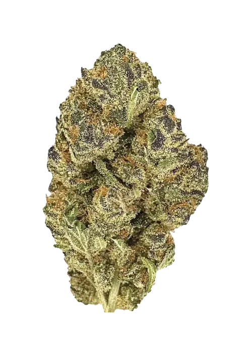 3876-pink-kush_700.webp