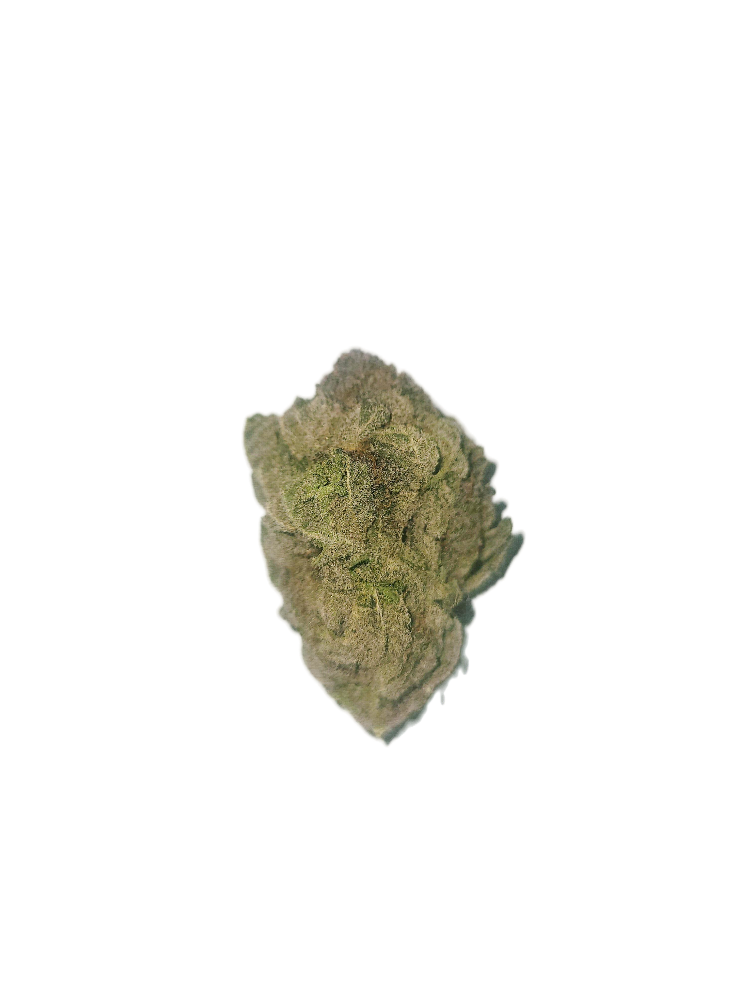 Blue Cherry