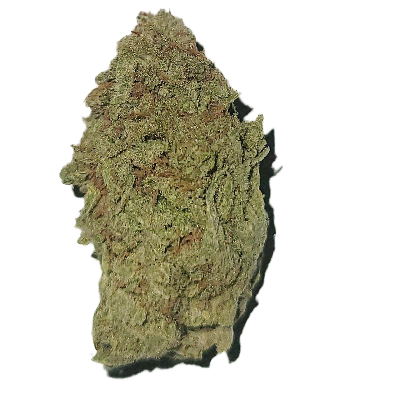 Dutch Kush