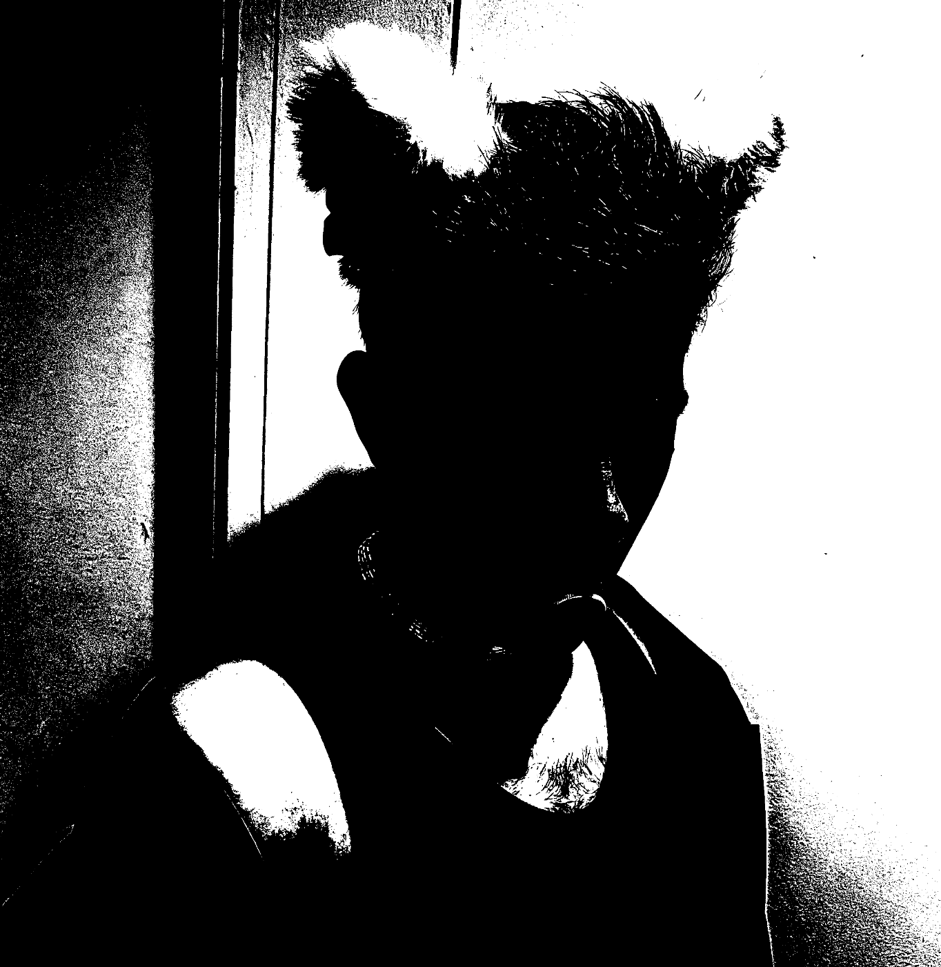 Party_Photo_v6.jpg / Poster.png