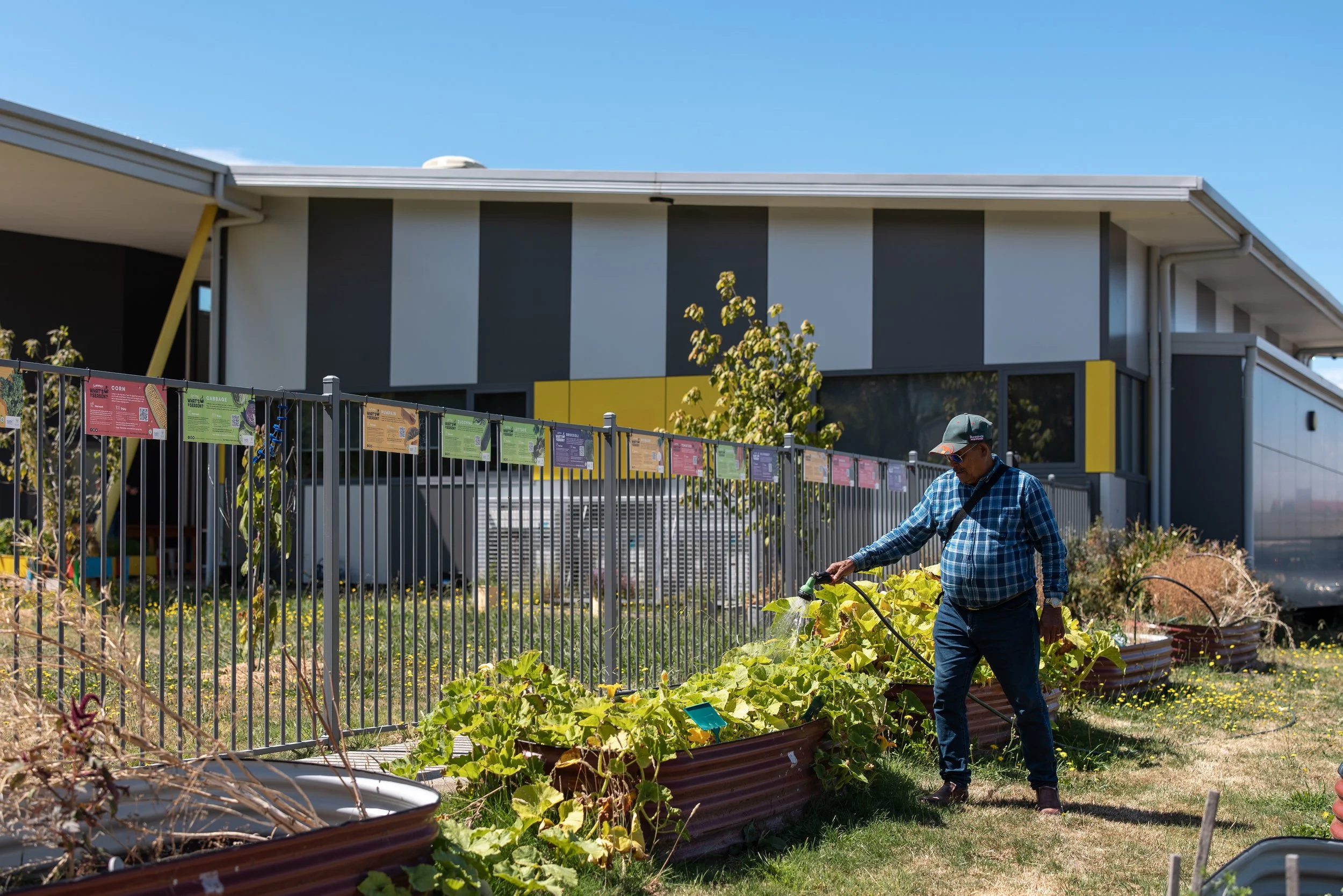 A man watering plants in a garden outside a modern building with black, white, and yellow panels.