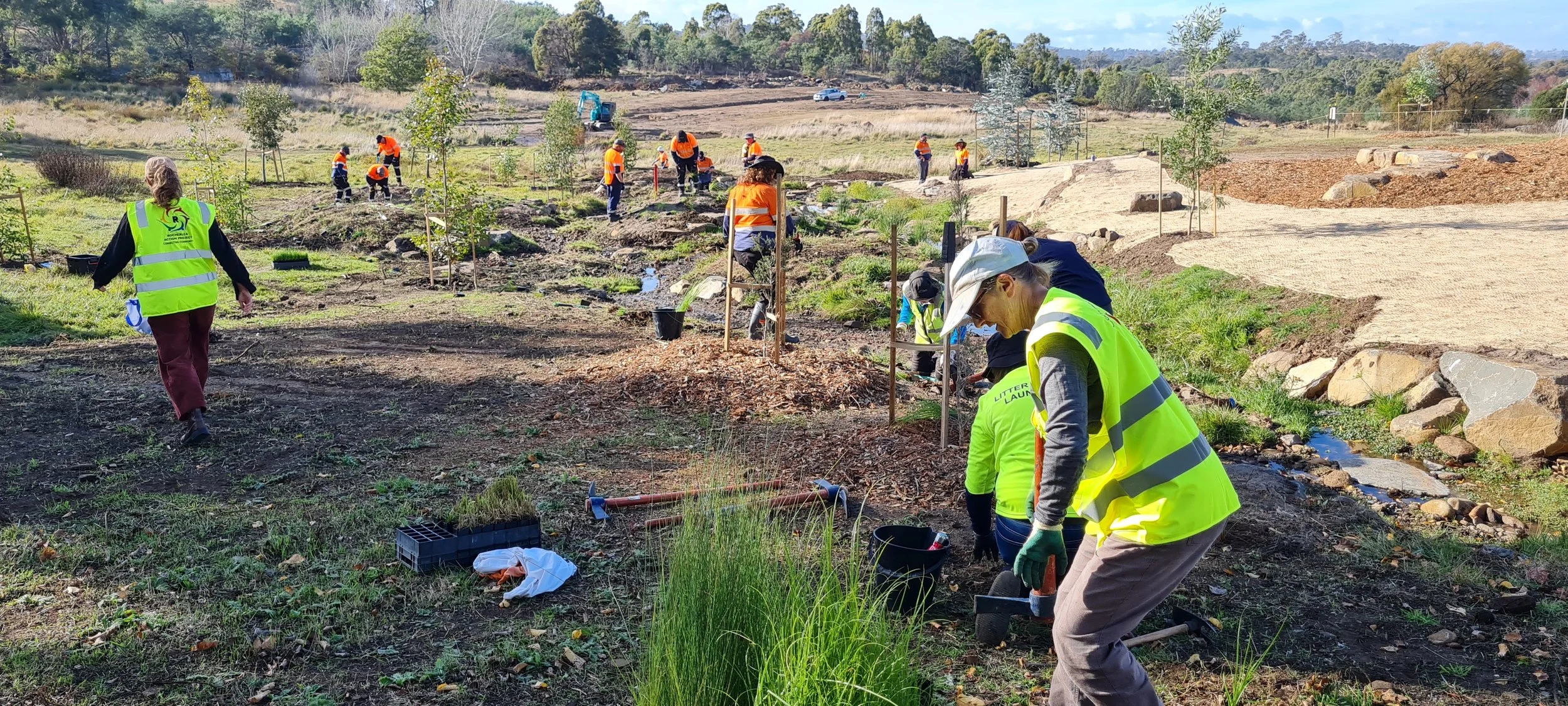 Group of volunteers planting trees in a park with tools and young trees, wearing high visibility vests and gloves, on a sunny day.