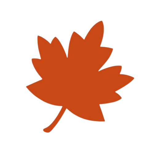 Fall Frenzy Chess Fest