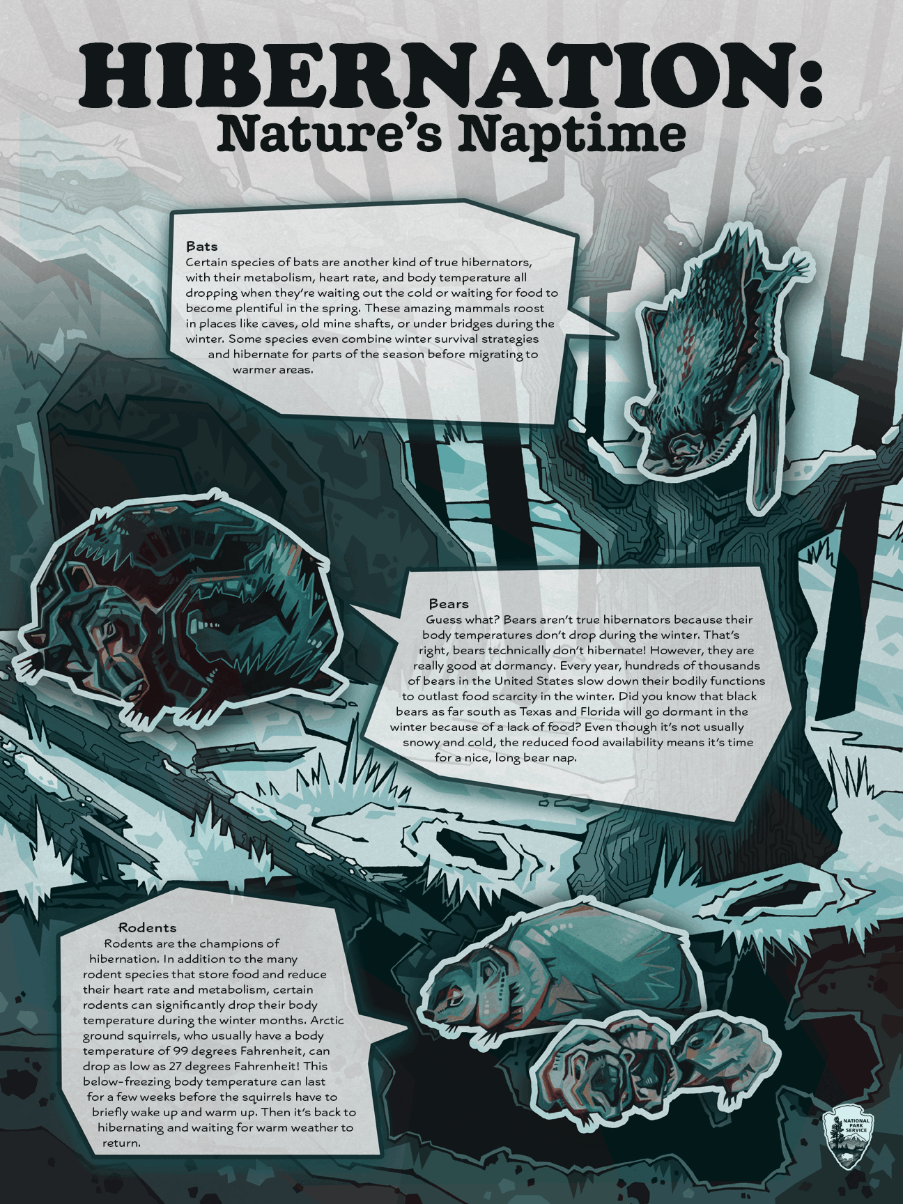 Hibernation design.png