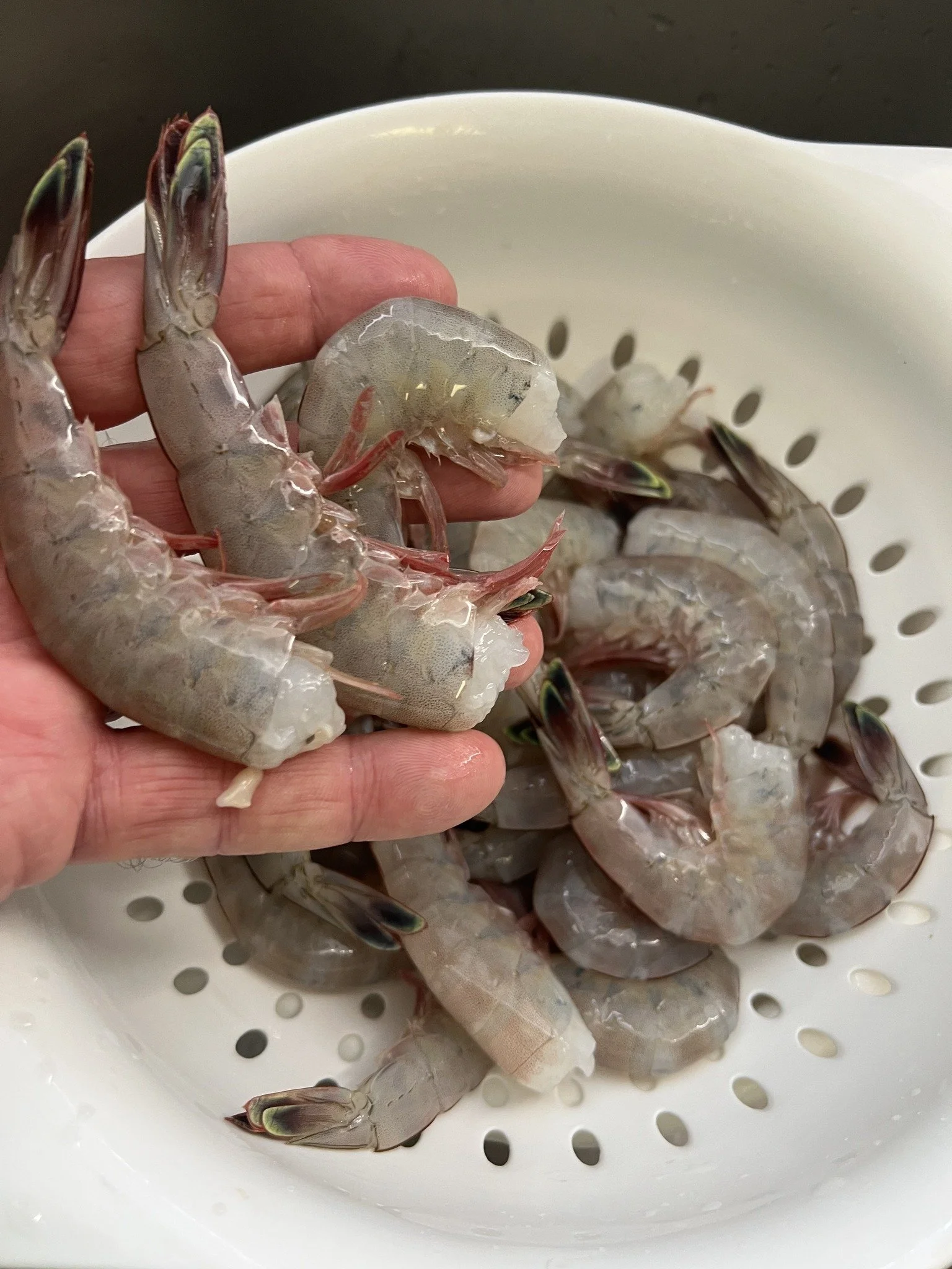 10LBS Jumbo Mayport Shrimp (Headless)