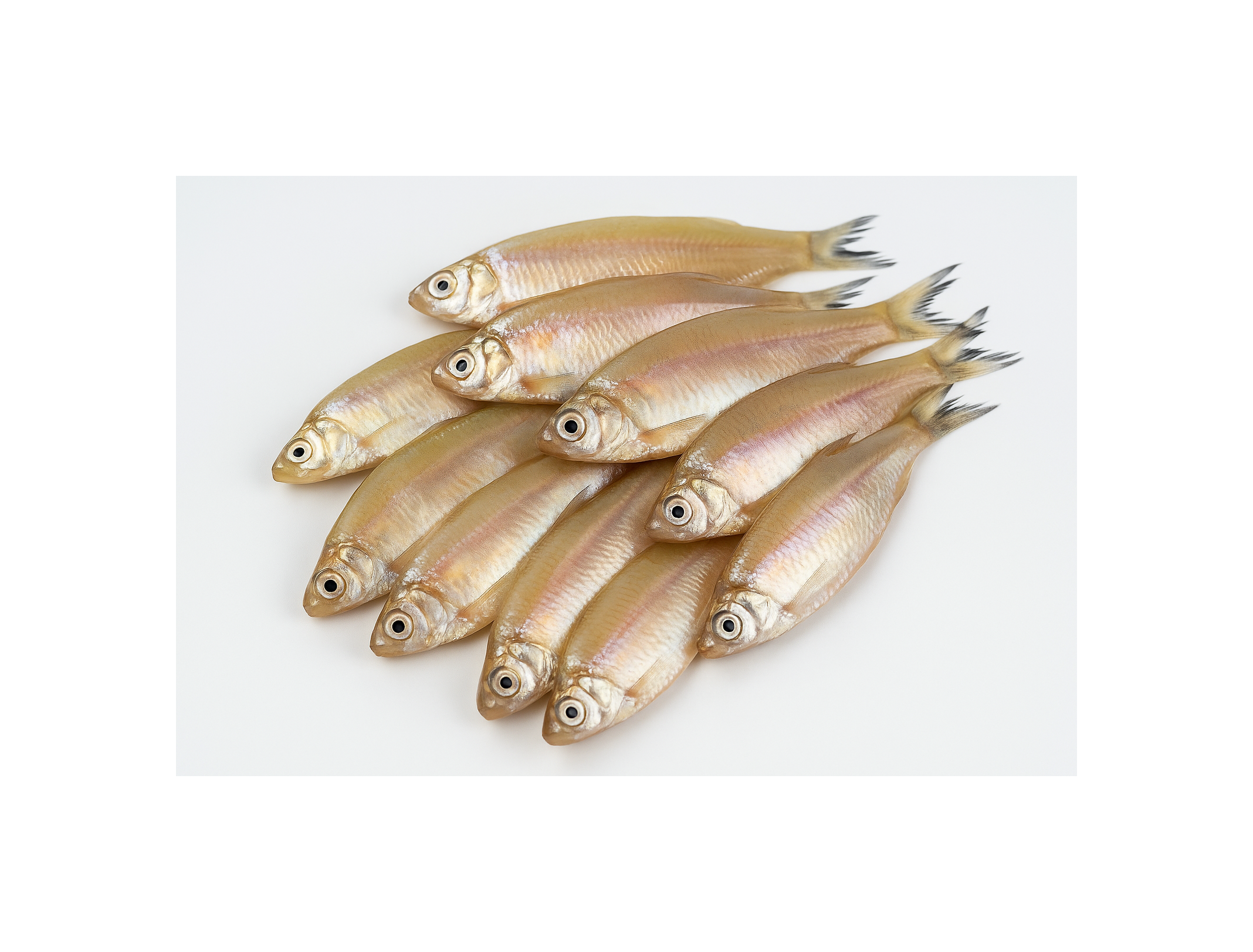 Mola Fish Block 250 gm