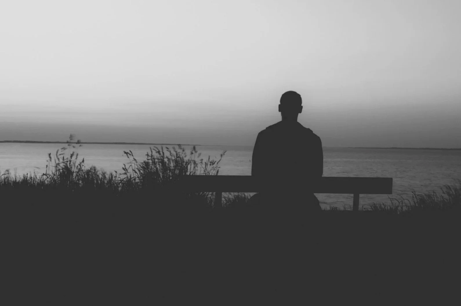 Silhouette of a person sitting on a bench by a body of water during dusk or dawn, with tall grasses in the foreground and a boat in the distance.