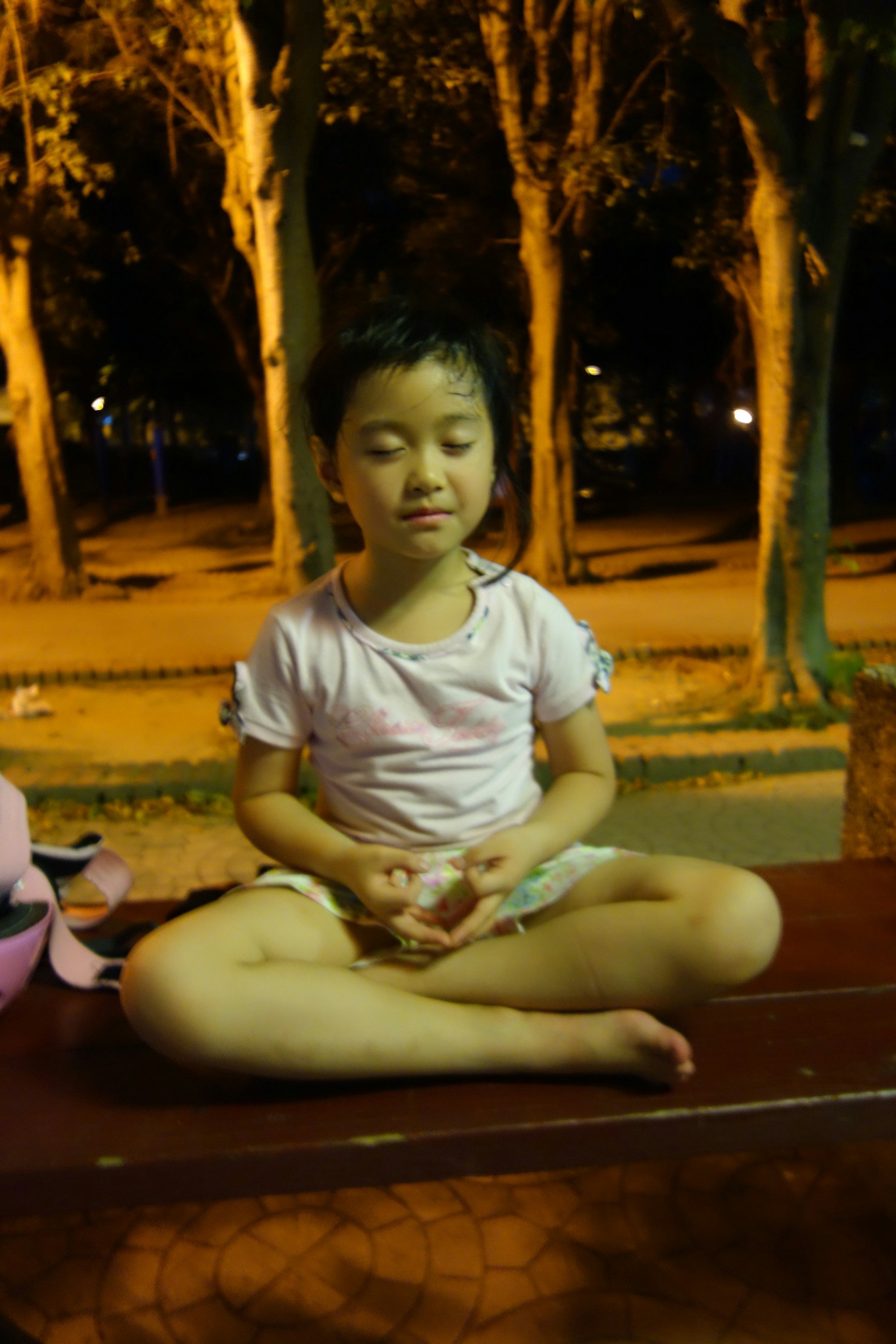 Self-Regulation and Behavior