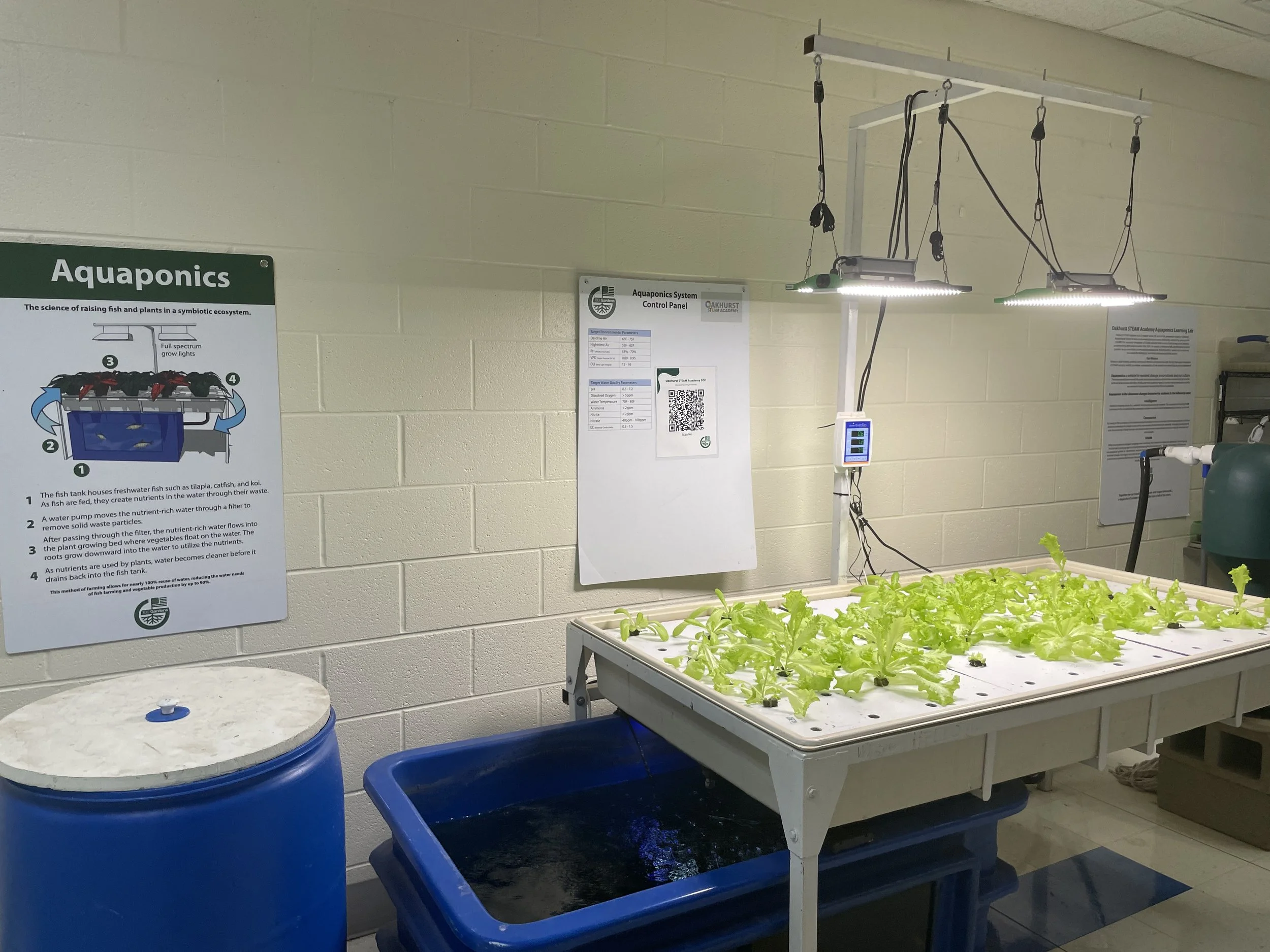 Aquaponics system.JPG