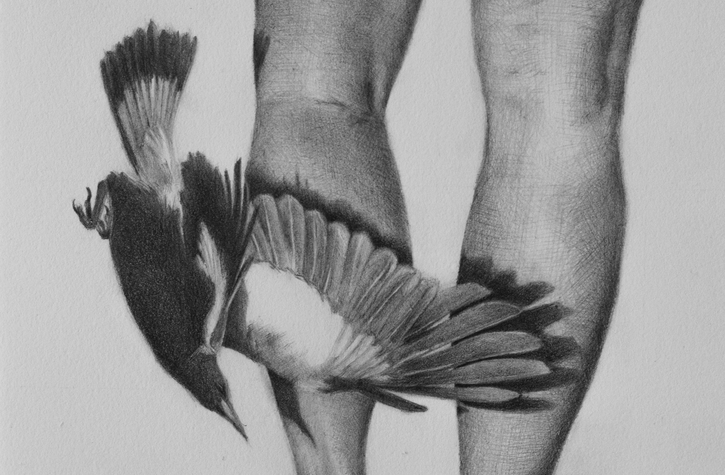 Remembered I outgrew you a long time ago [detail]. 2026. Graphite on paper. 29.7 x 21 cm.