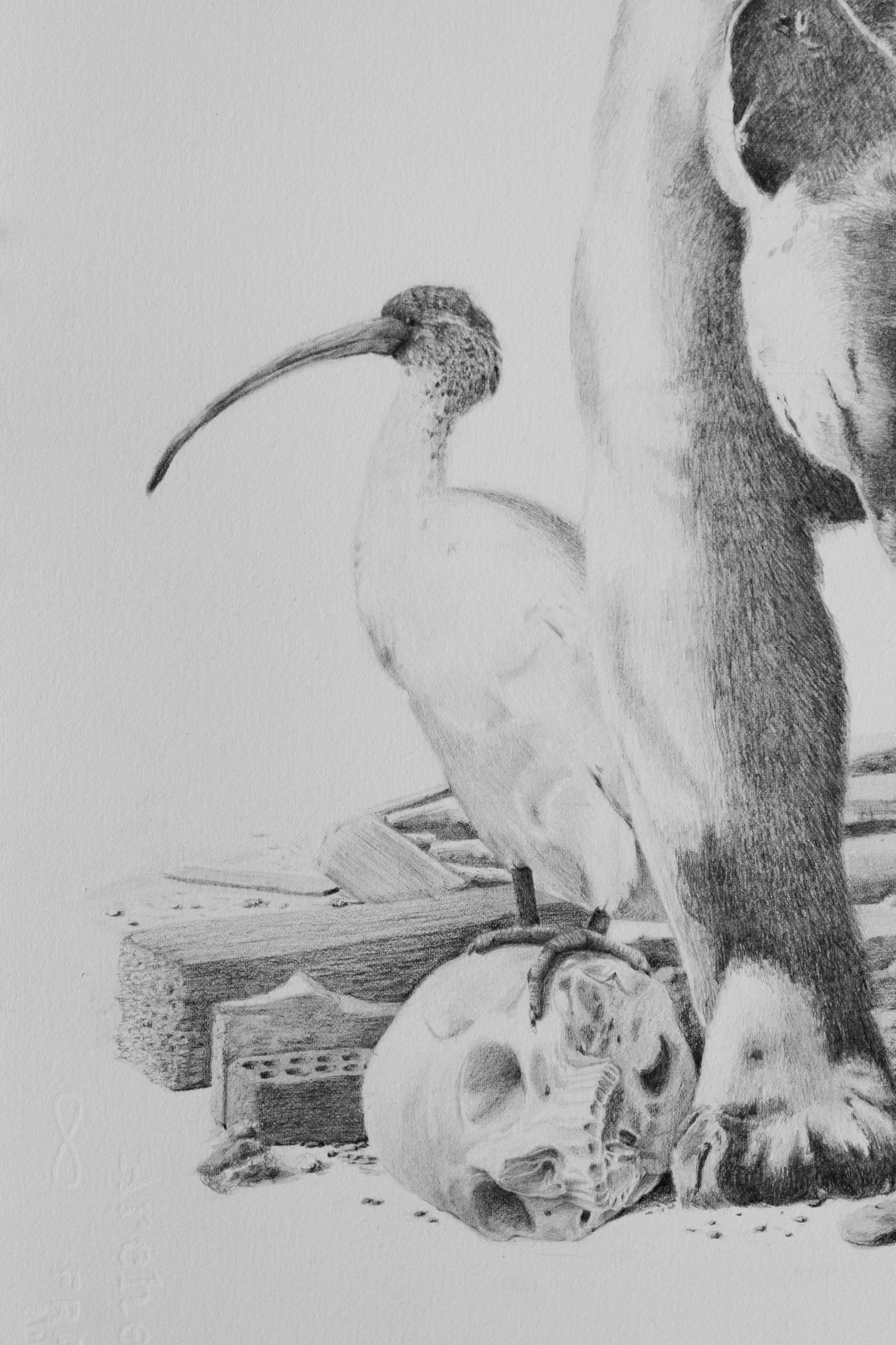 All My Secrets Are Ghosts Now [Detail]. 2025. Graphite on paper. 101.6 x 64.8 cm.