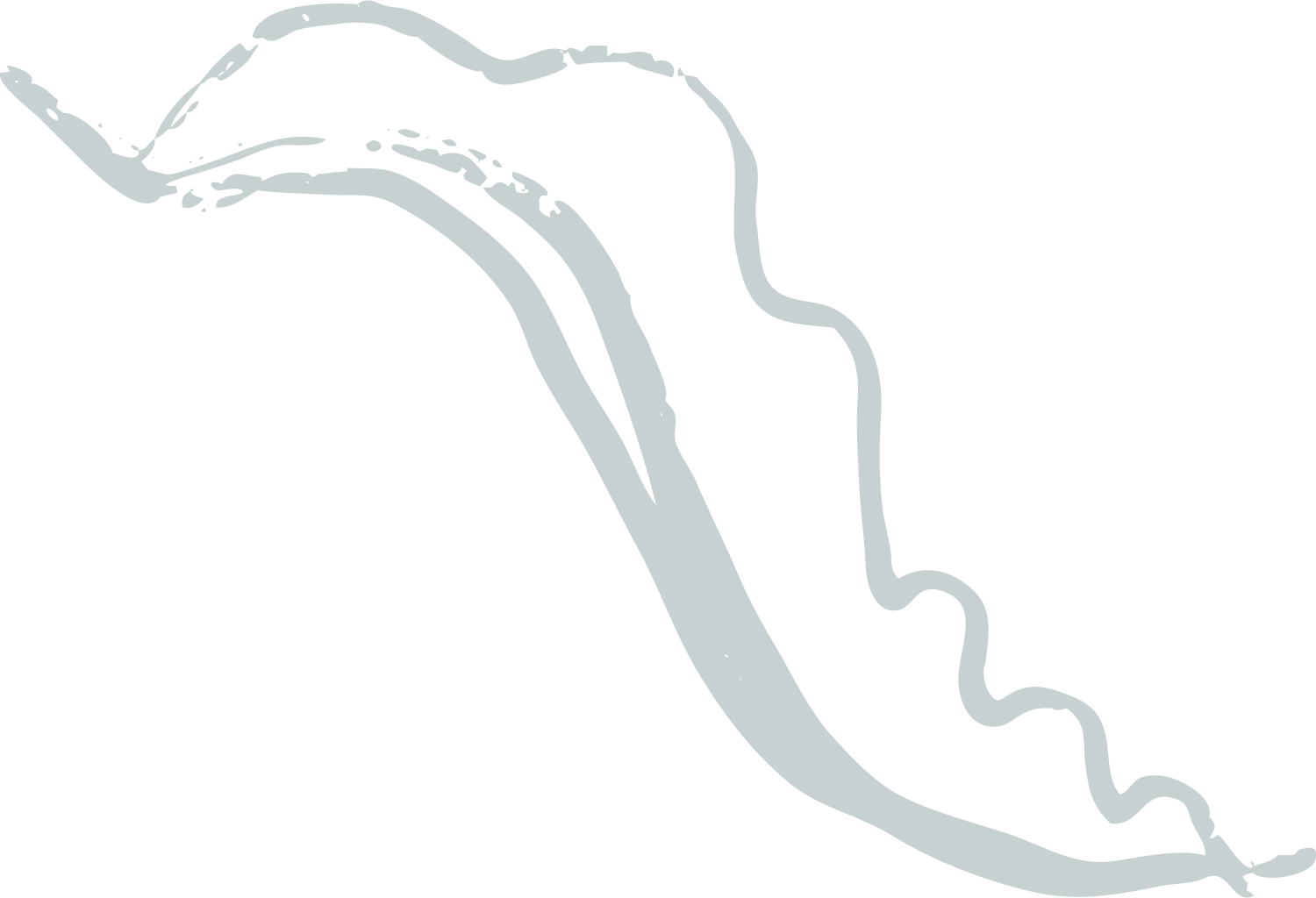 A black and white diagram of a sliced chili pepper showing its internal seeds and flesh.